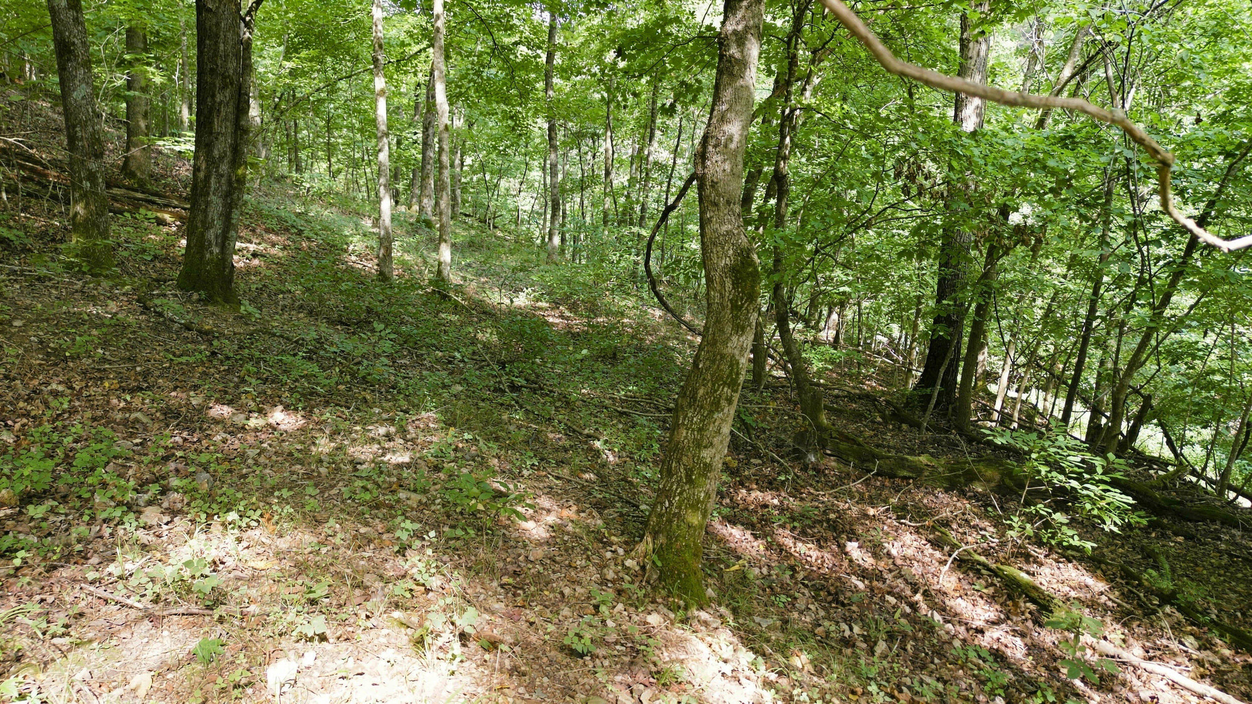 Photo 48 - Residential for sale – 24709  Wolfe Road  Washburn, MO