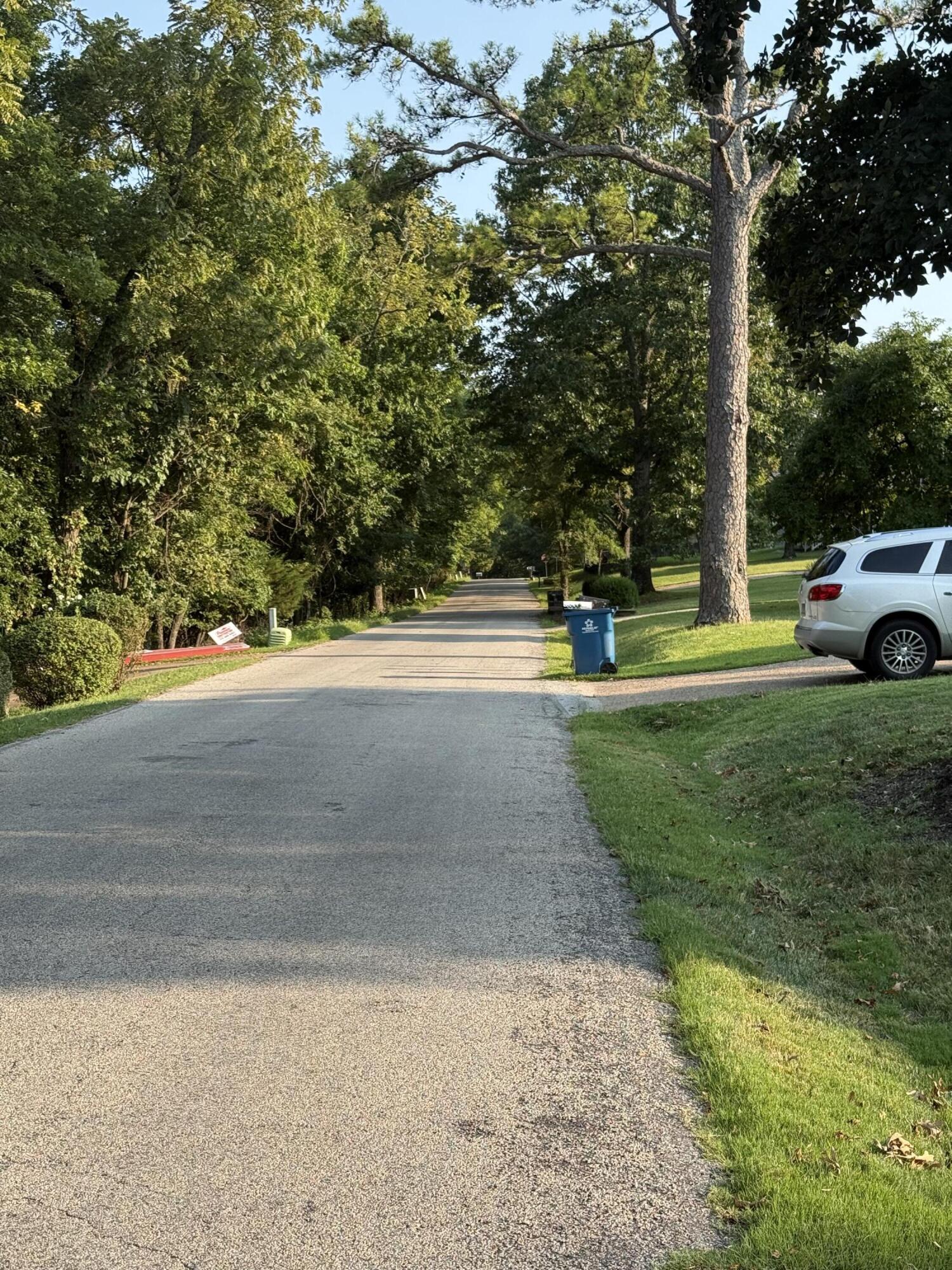 Photo 3 - Land for sale – 000  Skyview Drive  Branson, MO