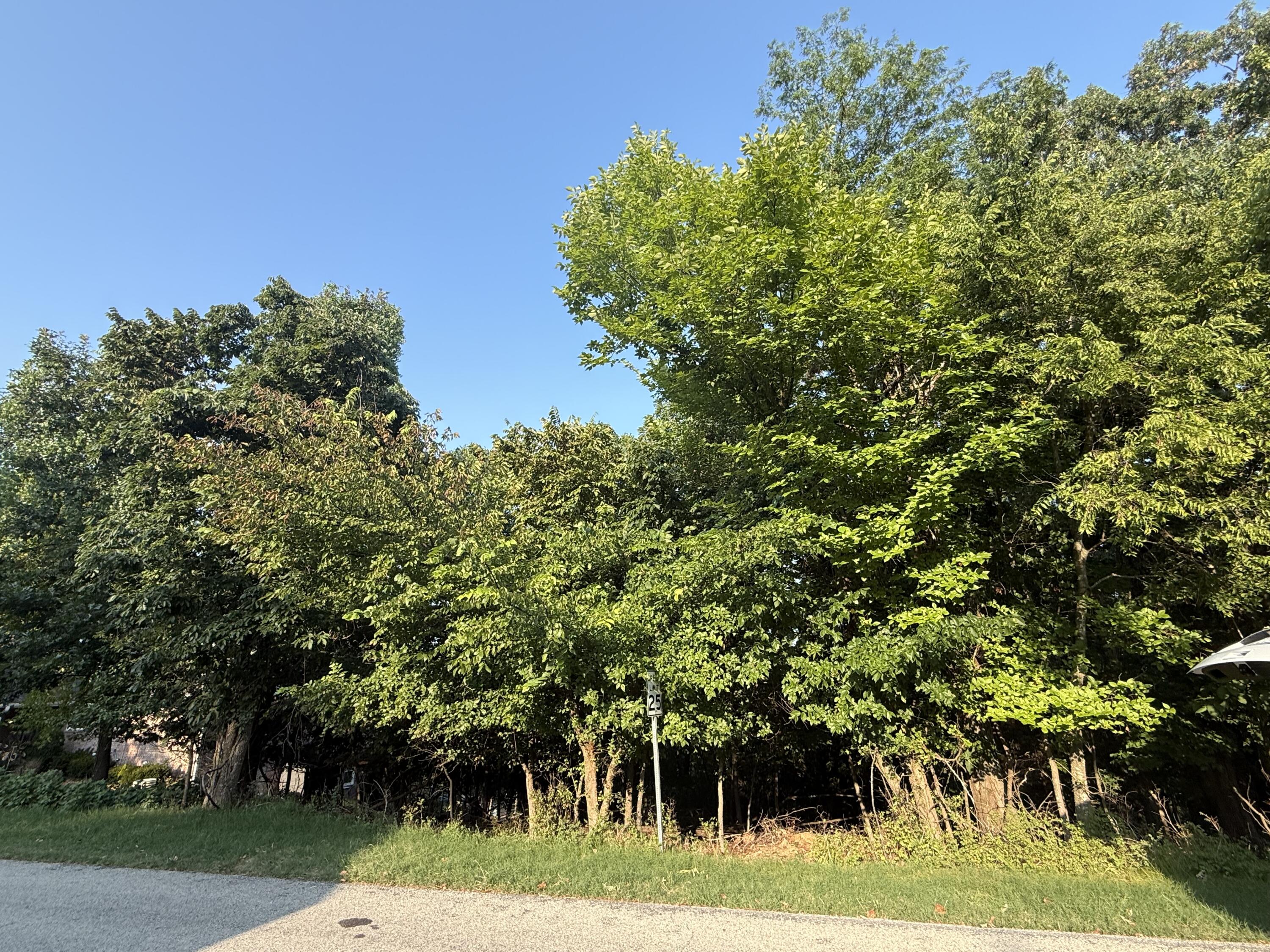 Photo 2 - Land for sale – 000  Skyview Drive  Branson, MO