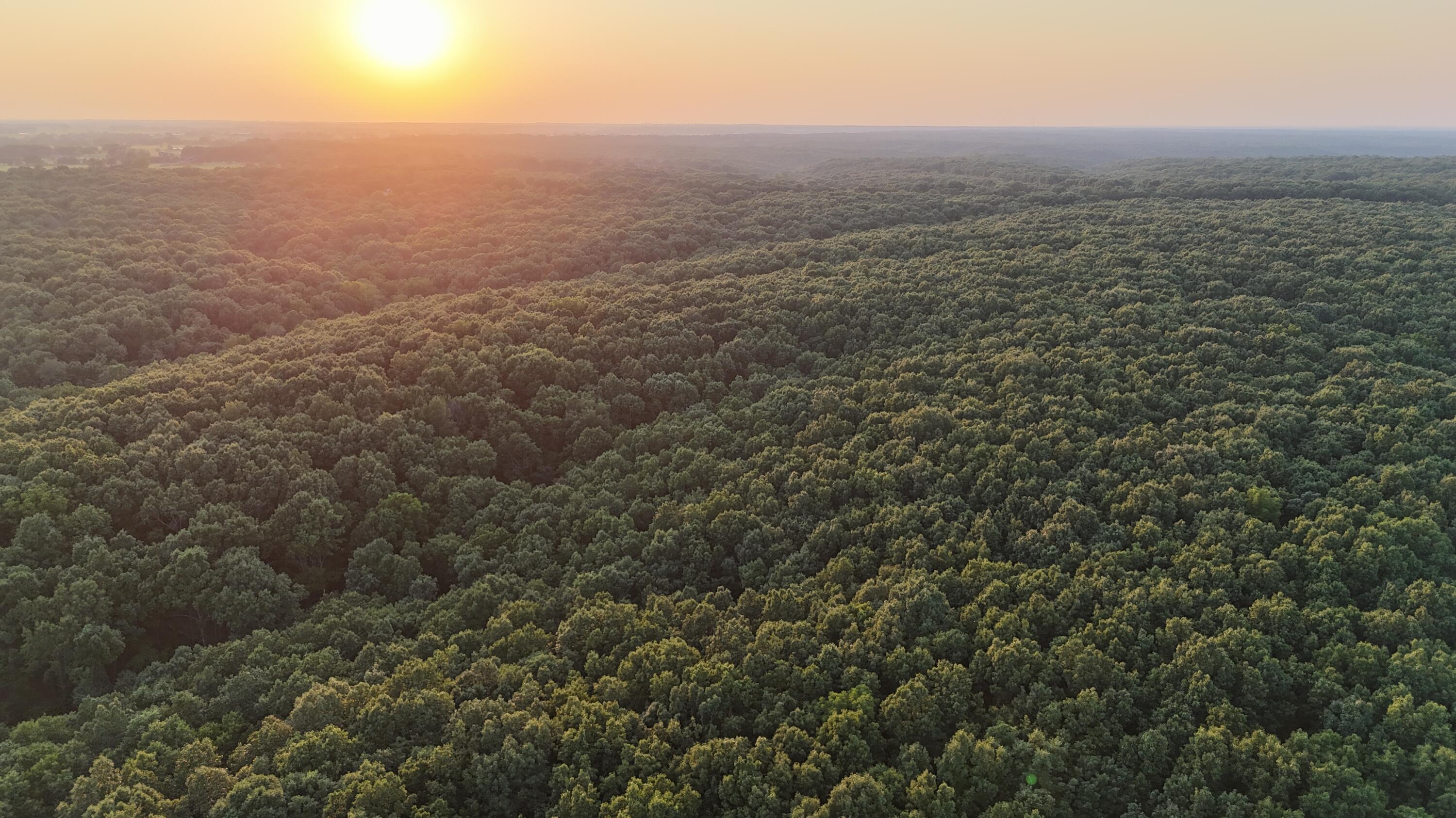 Photo 10 - Land for sale – 000  County Rd 2100   Mt Vernon, MO