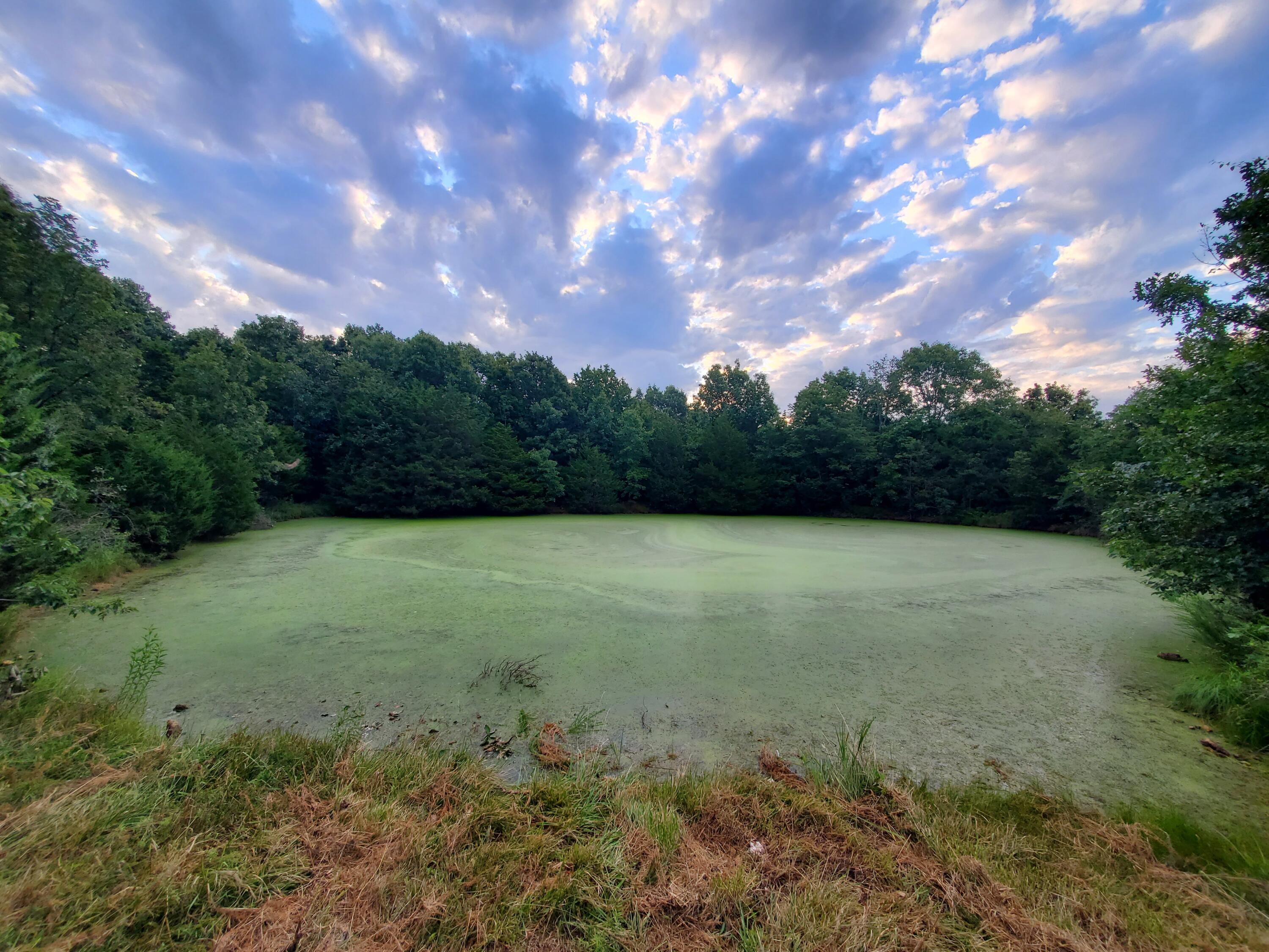Photo 26 - Land for sale – 000  County Rd 2100   Mt Vernon, MO
