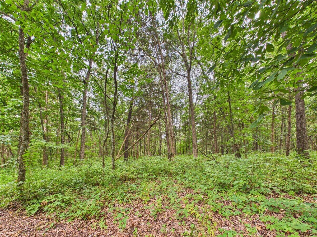 Photo 61 - Residential for sale – 23175  County Road 181   Wheatland, MO