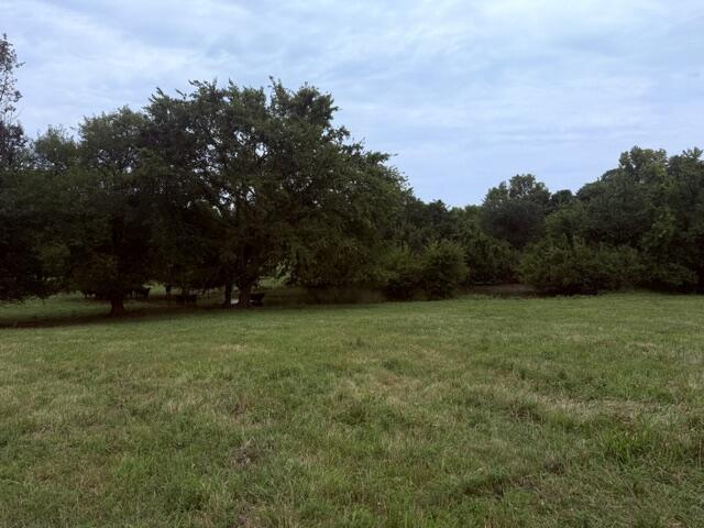 Photo 41 - Residential for sale – 2904 N Farm Road 123   Springfield, MO
