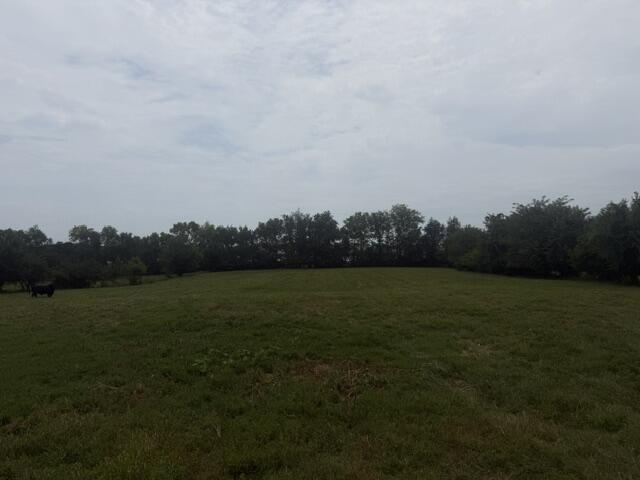 Photo 20 - Residential for sale – 2904 N Farm Road 123   Springfield, MO