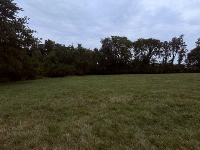 Photo 35 - Residential for sale – 2904 N Farm Road 123   Springfield, MO