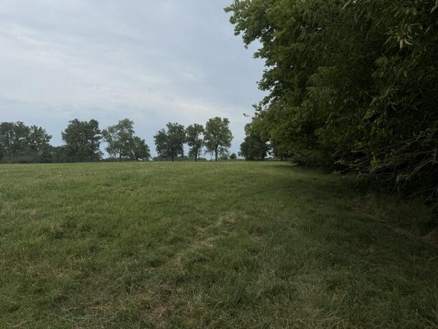 Photo 13 - Residential for sale – 2904 N Farm Road 123   Springfield, MO