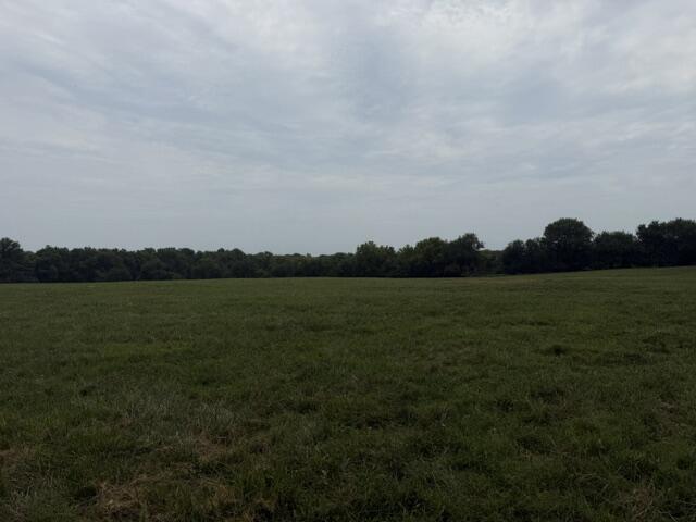 Photo 42 - Residential for sale – 2904 N Farm Road 123   Springfield, MO