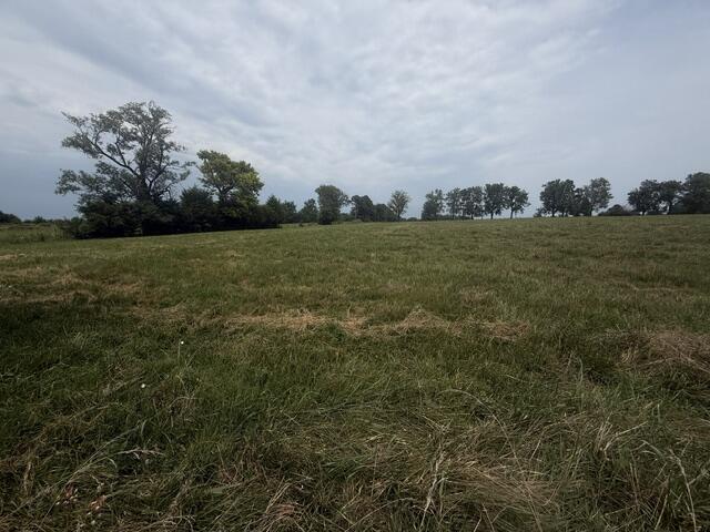 Photo 18 - Residential for sale – 2904 N Farm Road 123   Springfield, MO