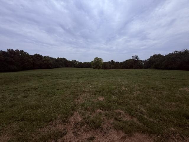 Photo 31 - Residential for sale – 2904 N Farm Road 123   Springfield, MO