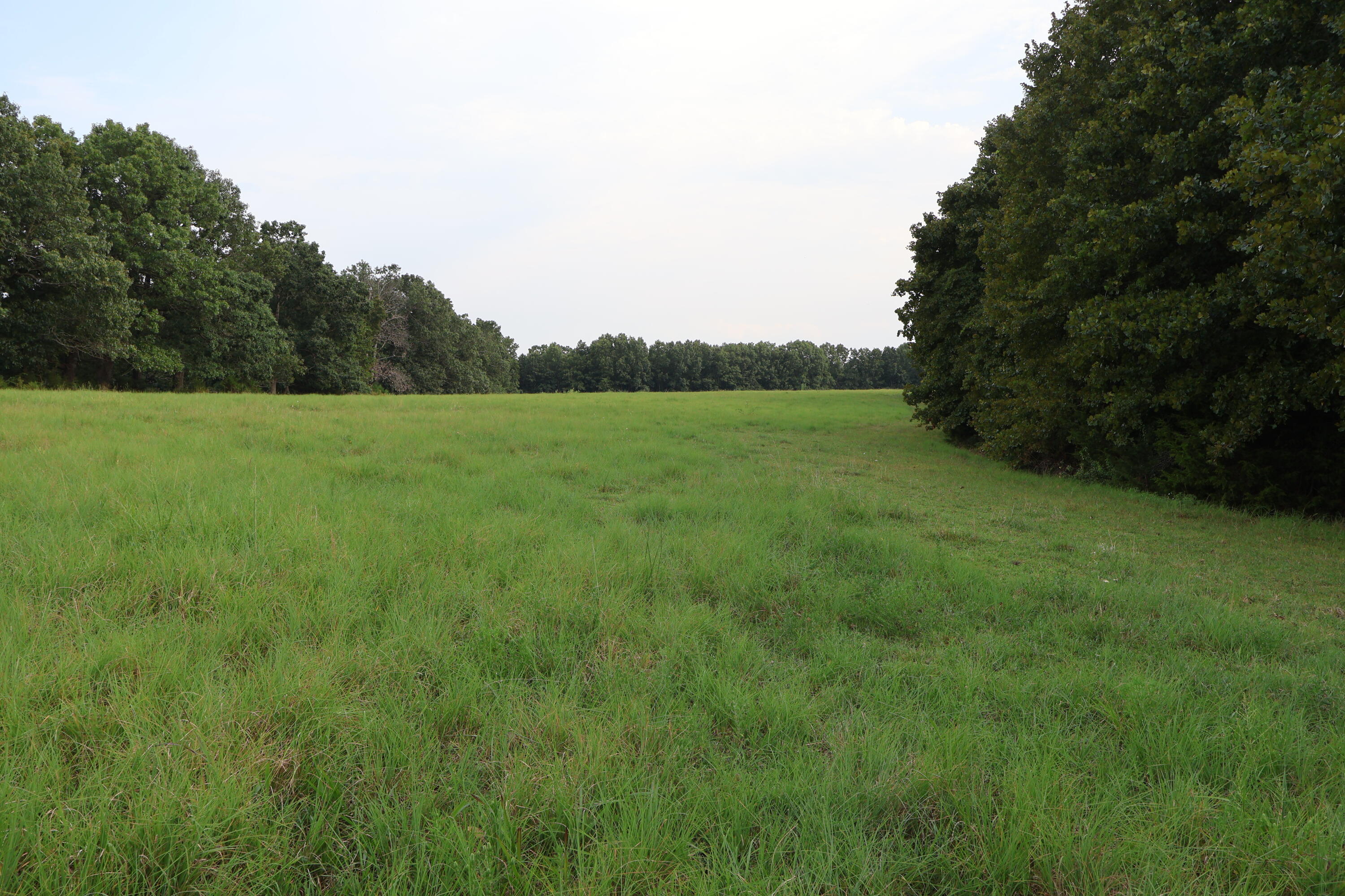 Photo 98 - Farm for sale – 9135  State Highway Z   Fordland, MO
