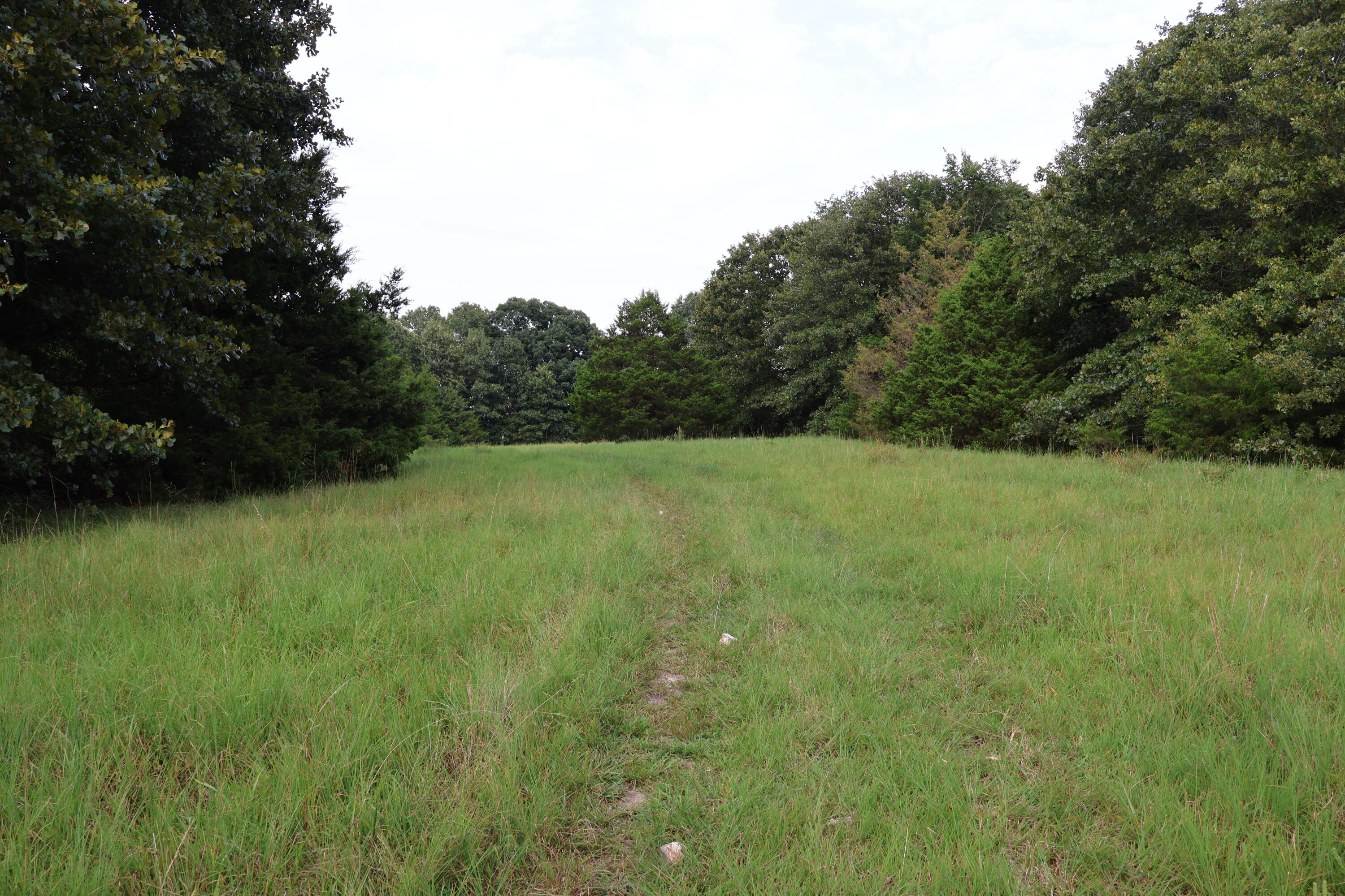 Photo 112 - Farm for sale – 9135  State Highway Z   Fordland, MO