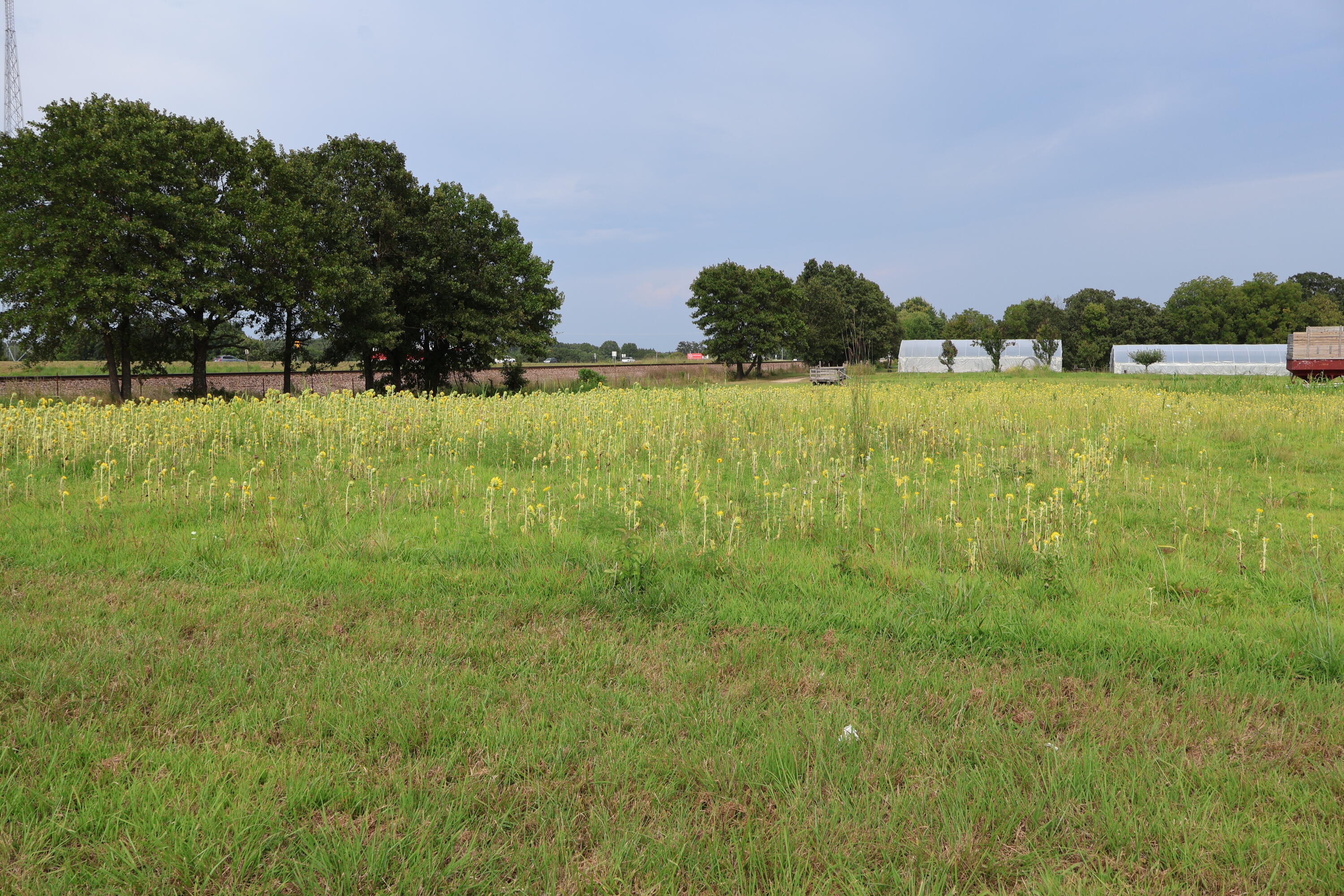 Photo 99 - Farm for sale – 9135  State Highway Z   Fordland, MO