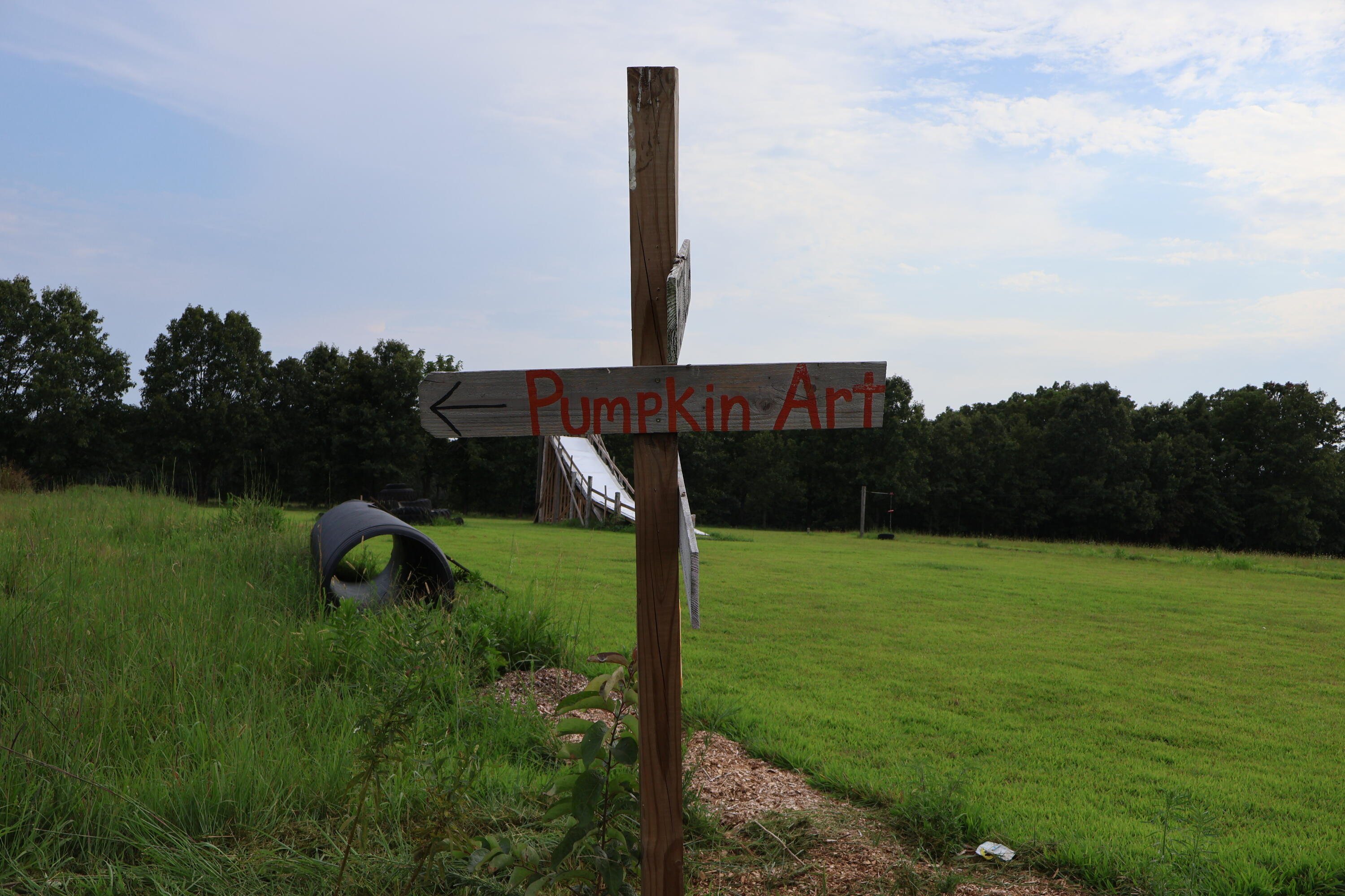 Photo 86 - Farm for sale – 9135  State Highway Z   Fordland, MO