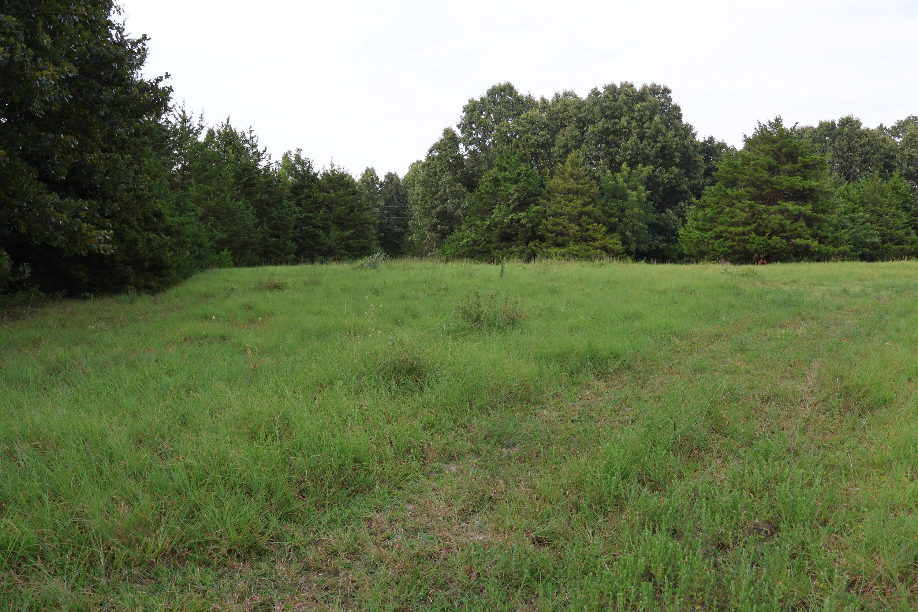 Photo 113 - Farm for sale – 9135  State Highway Z   Fordland, MO