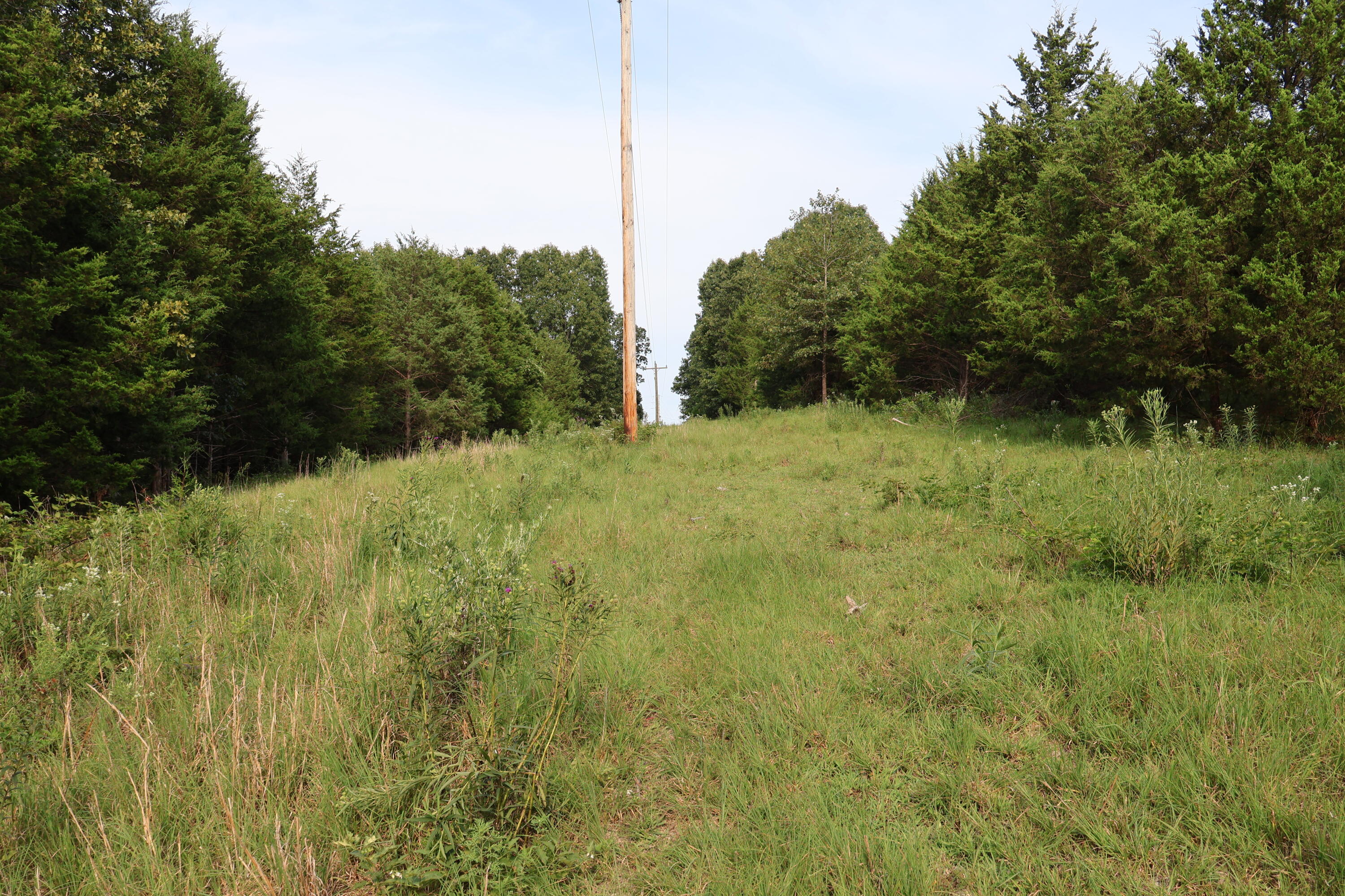 Photo 103 - Farm for sale – 9135  State Highway Z   Fordland, MO