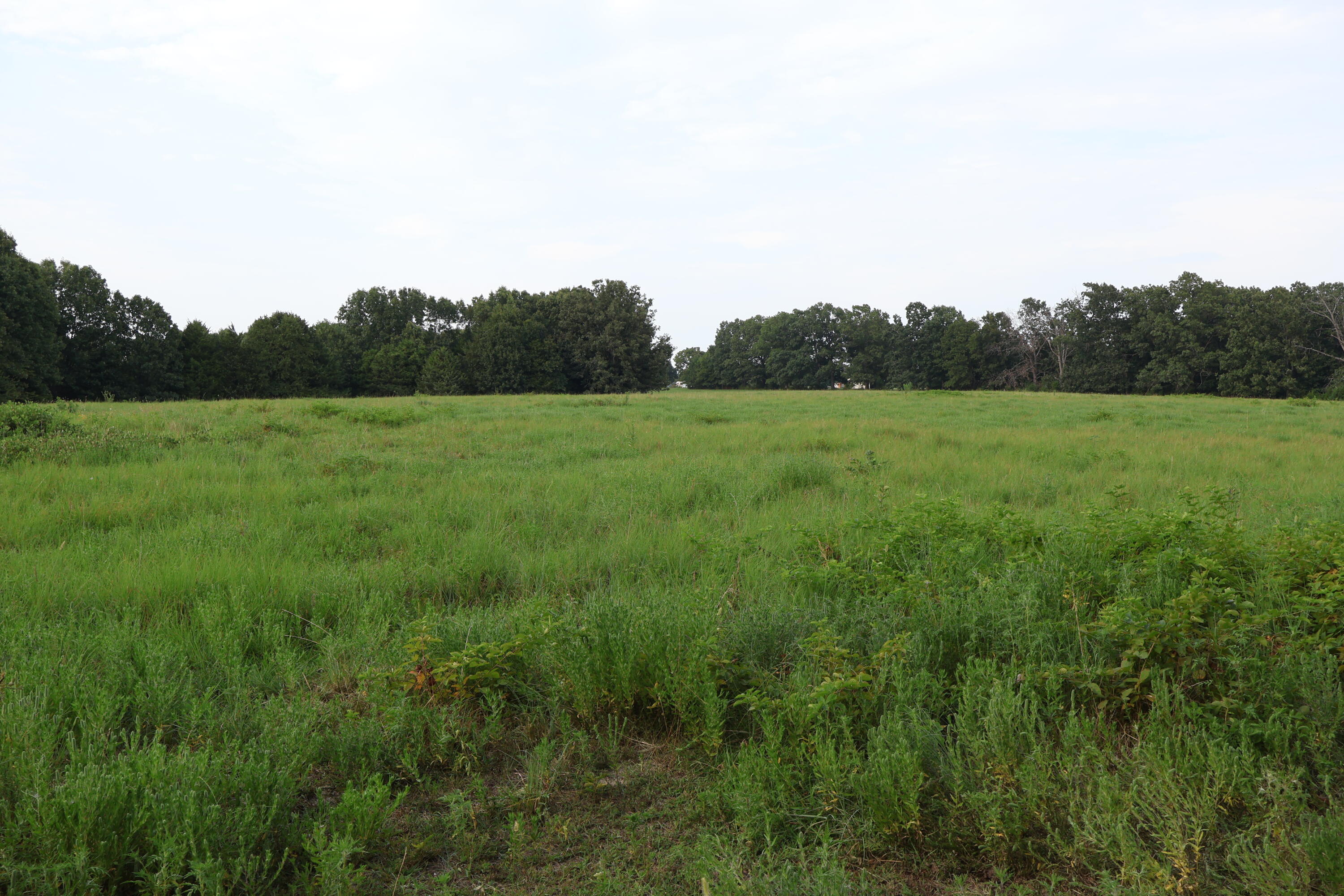 Photo 100 - Farm for sale – 9135  State Highway Z   Fordland, MO