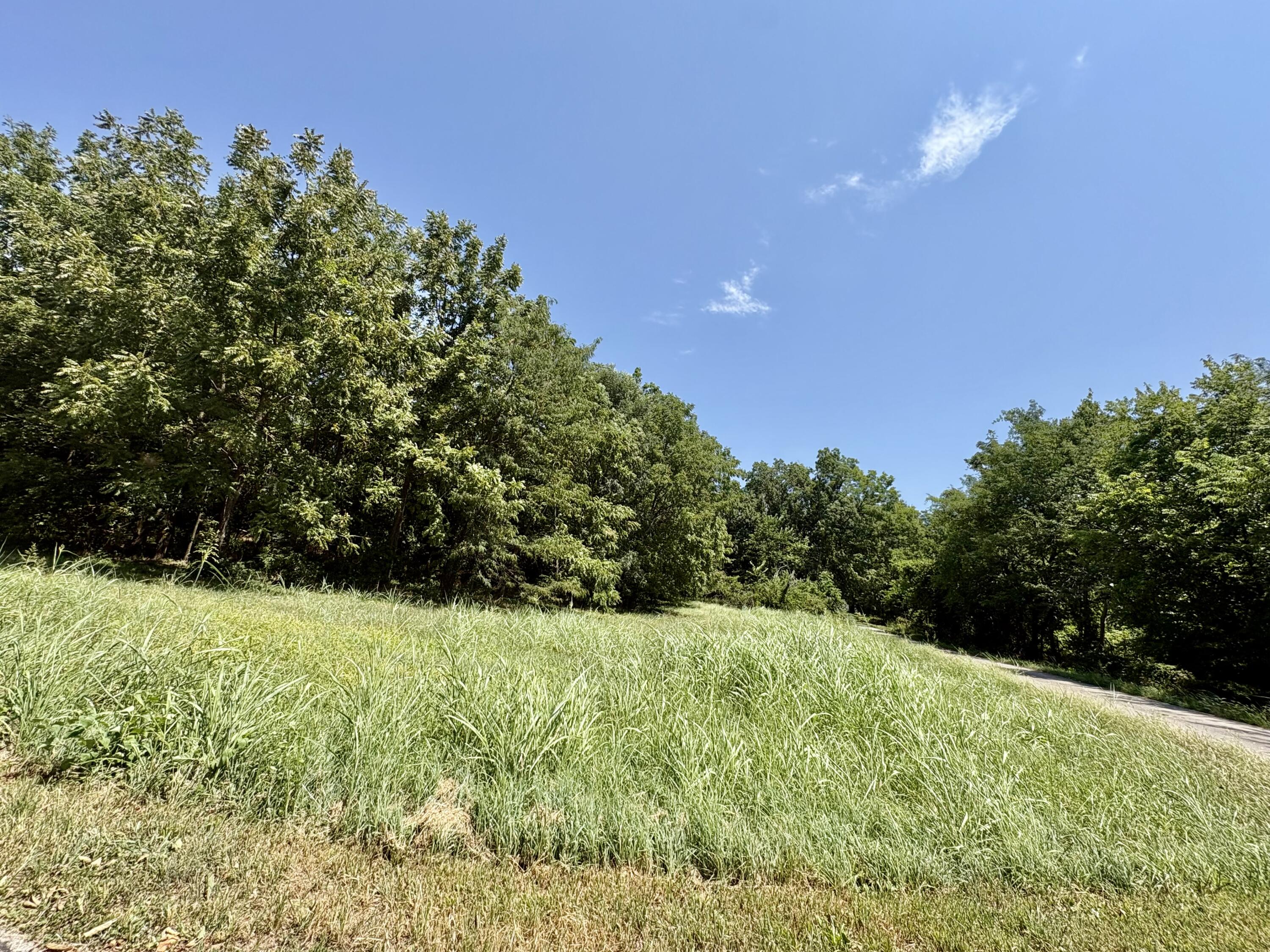 Land for sale – 665  Meng Street  Greenfield, MO
