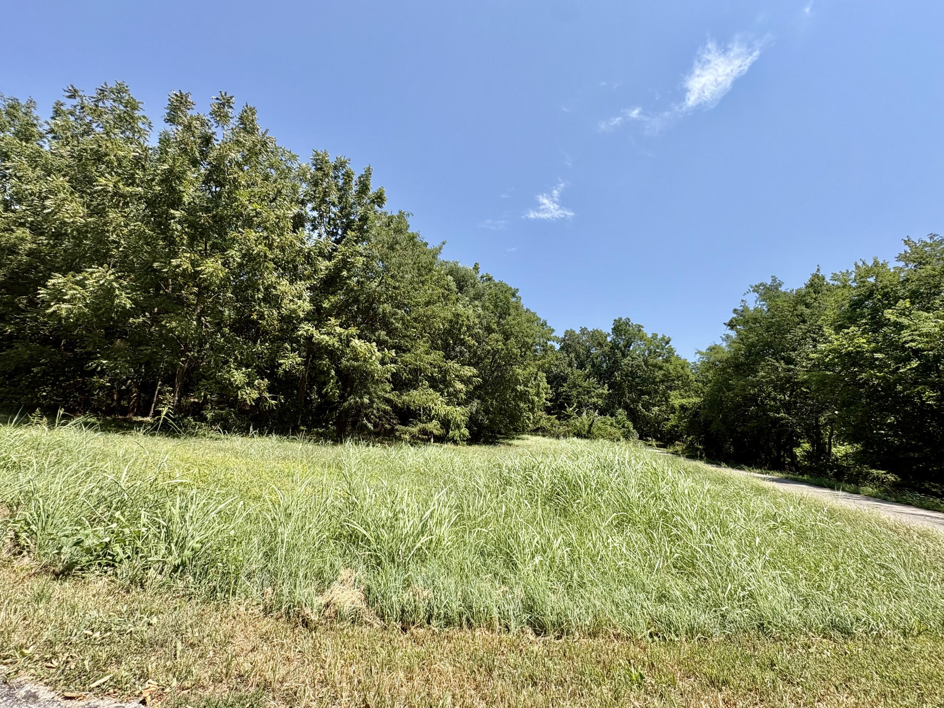 Photo 4 - Land for sale – 665  Meng Street  Greenfield, MO