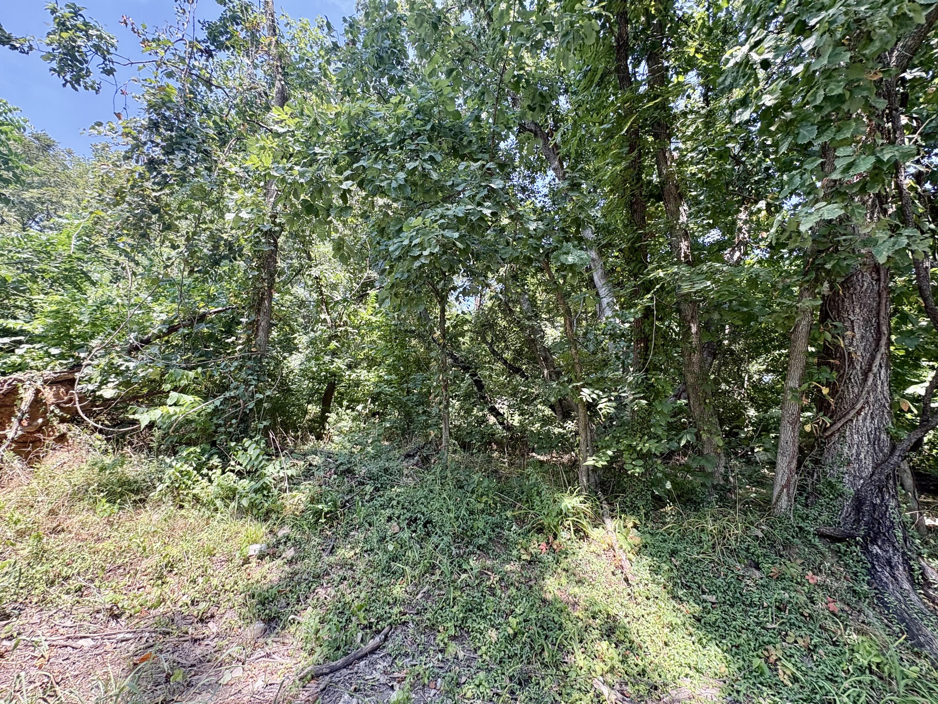 Photo 2 - Land for sale – 665  Meng Street  Greenfield, MO