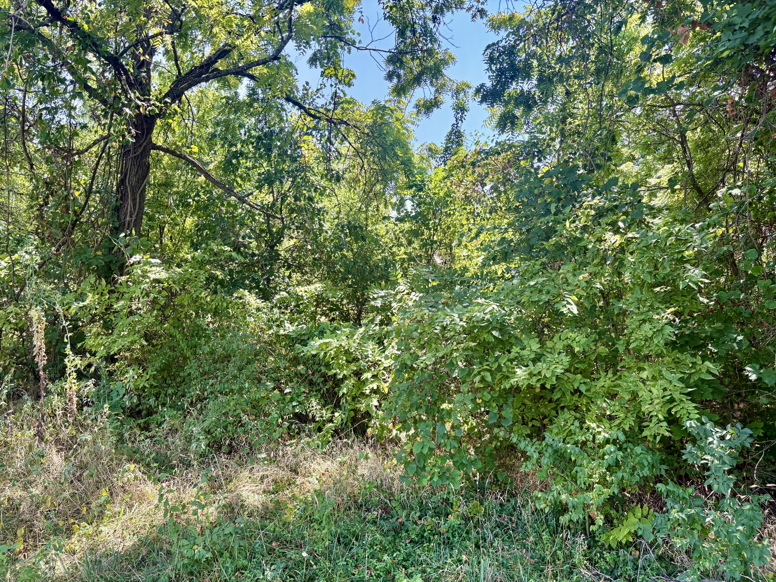 Photo 5 - Land for sale – 665  Meng Street  Greenfield, MO