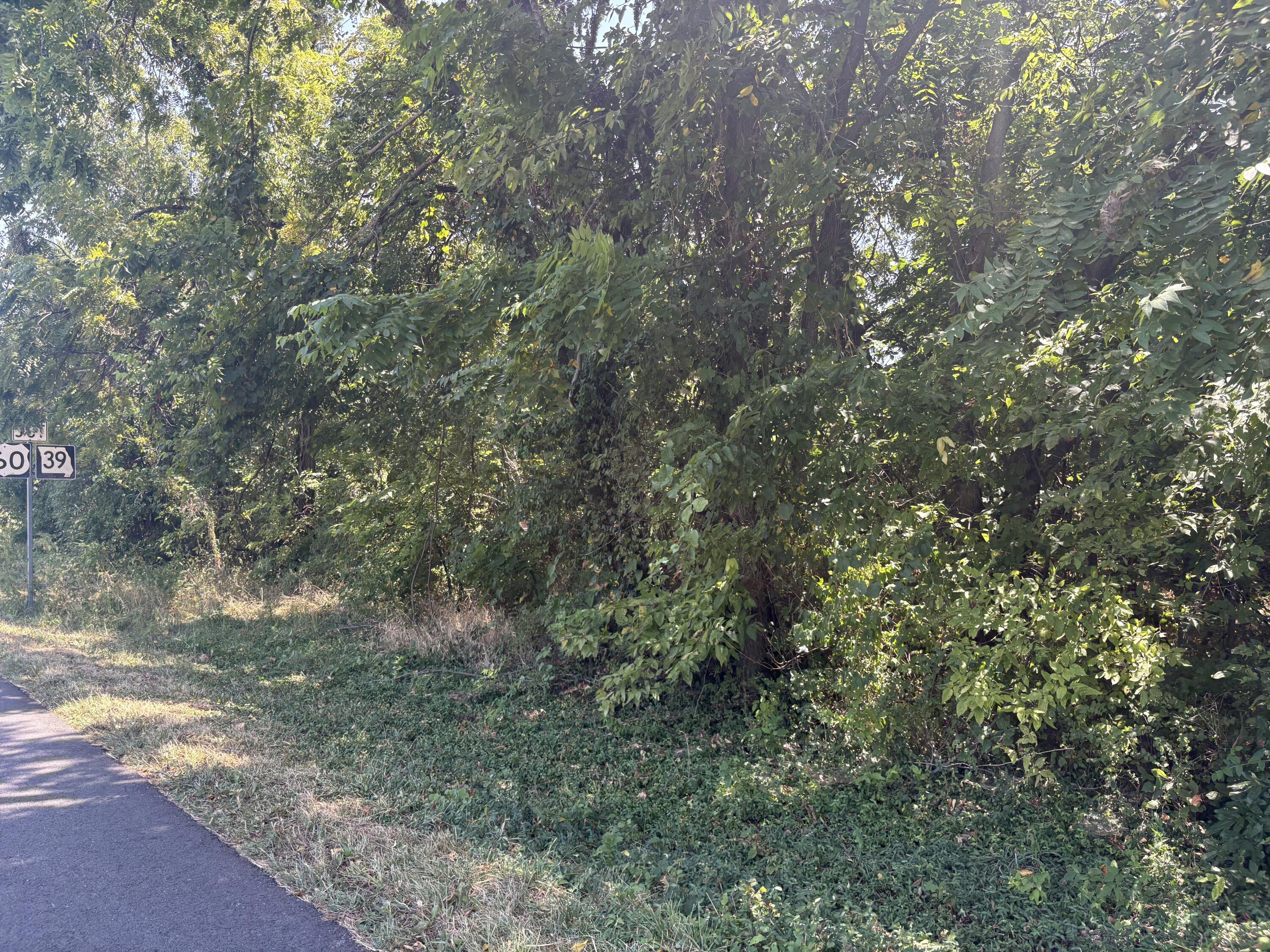 Photo 7 - Land for sale – 665  Meng Street  Greenfield, MO