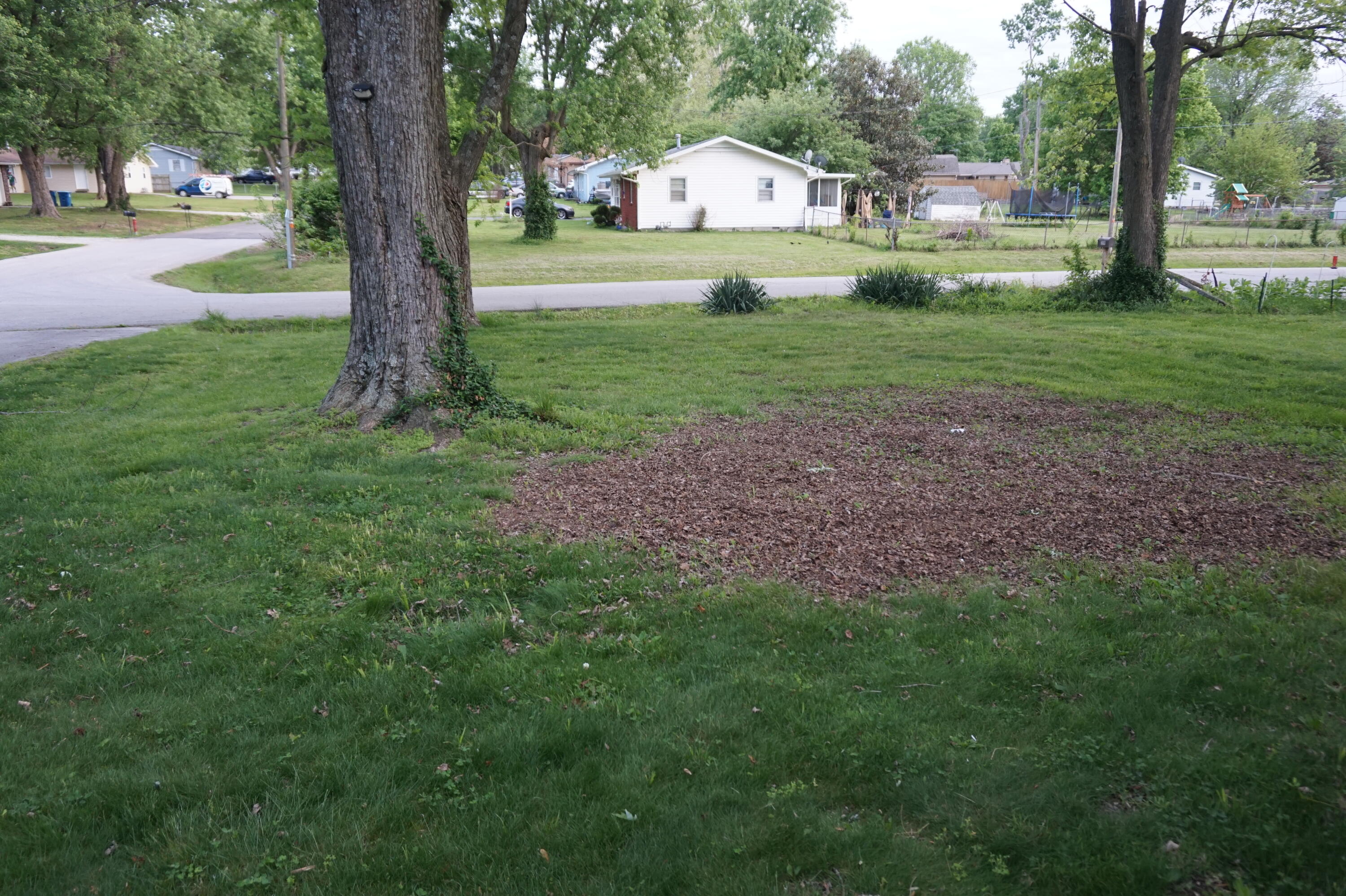 Photo 6 - Residential for sale – 203 W King Drive  Willard, MO
