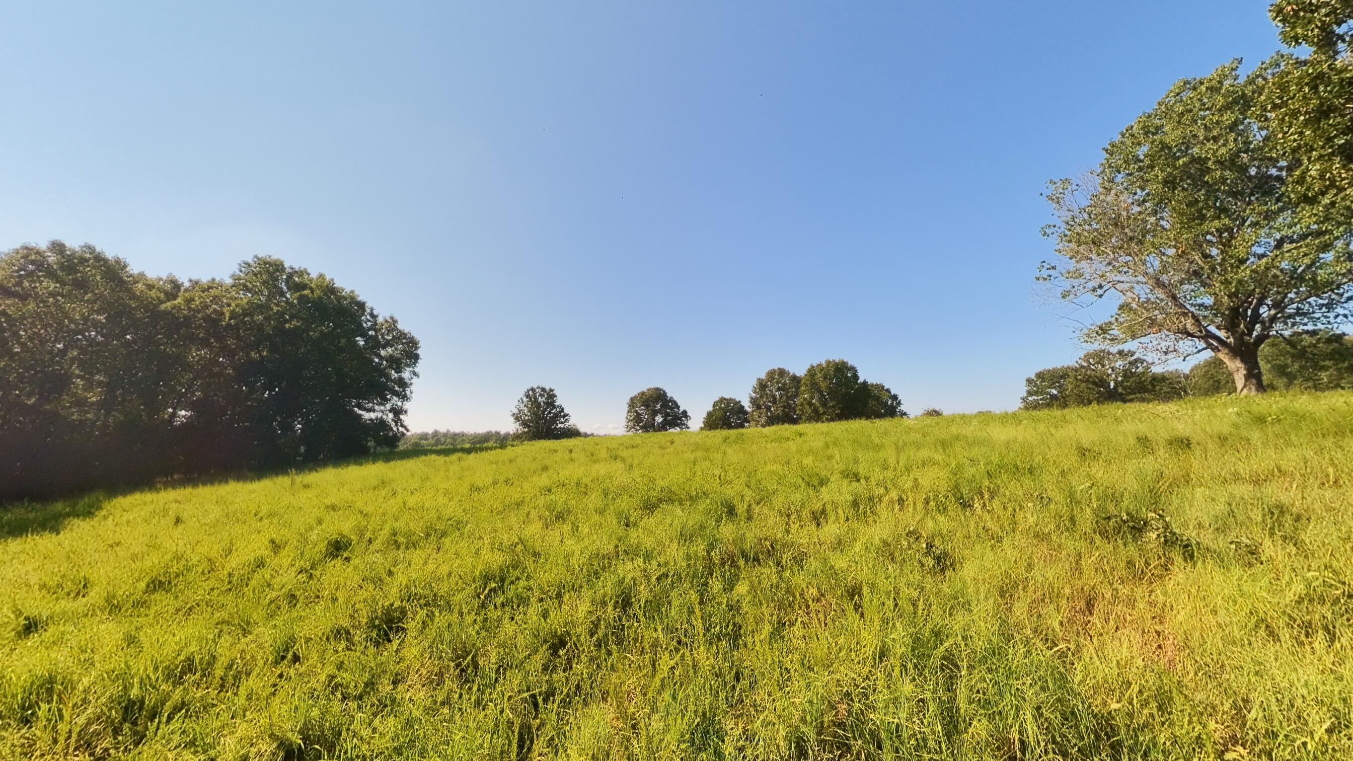 Photo 85 - Residential for sale – 13917  County Road 6910   Caulfield, MO