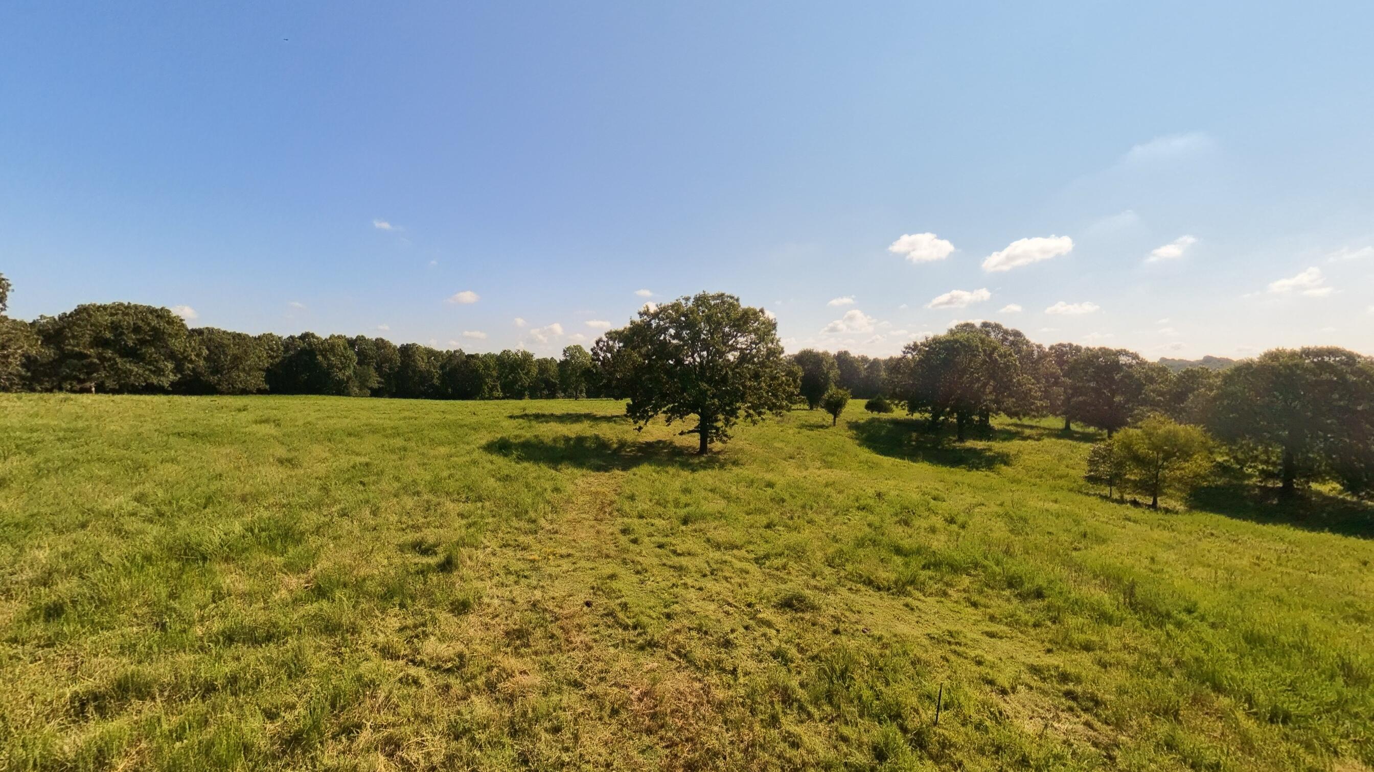 Photo 79 - Residential for sale – 13917  County Road 6910   Caulfield, MO