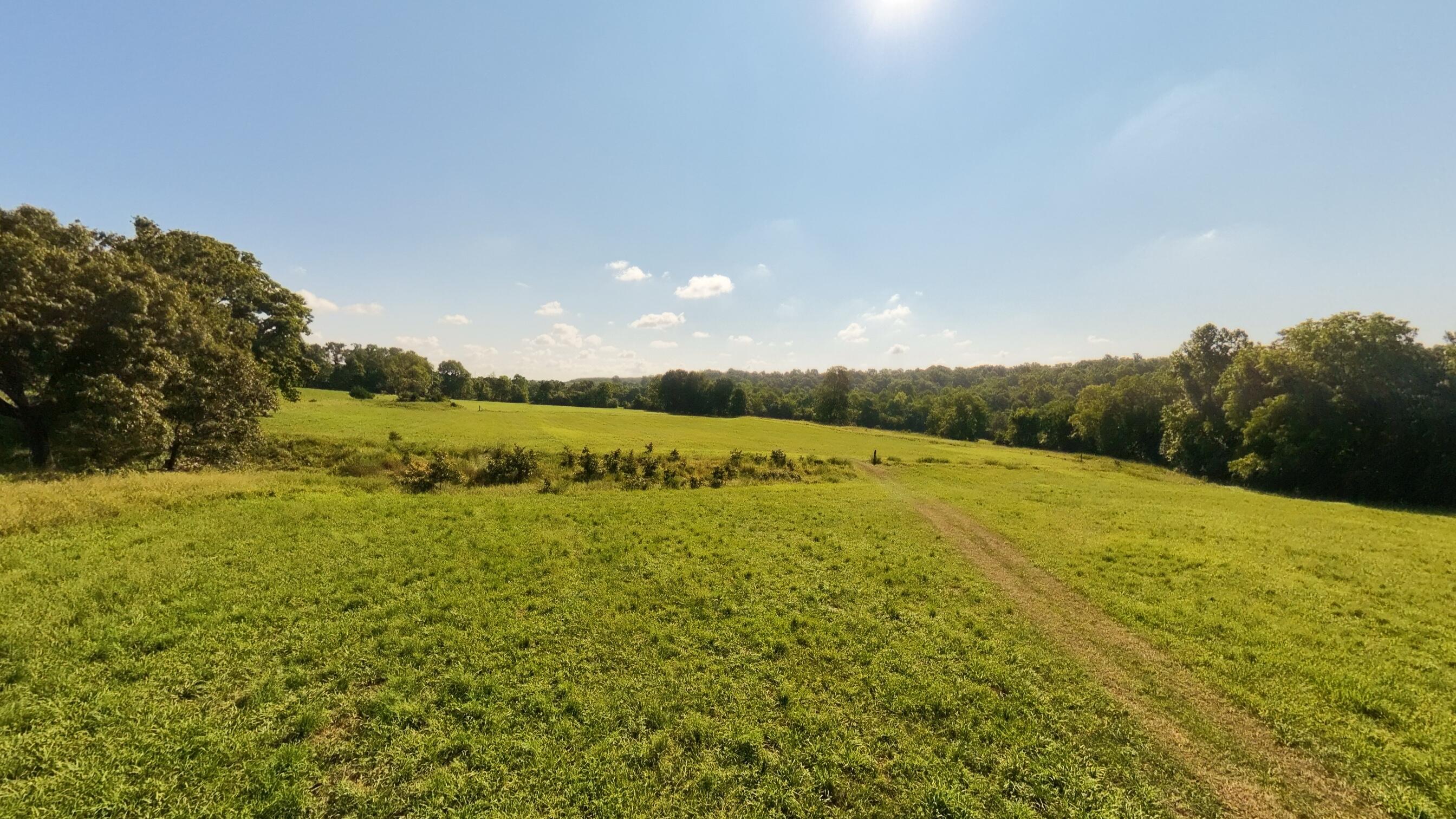 Photo 76 - Residential for sale – 13917  County Road 6910   Caulfield, MO