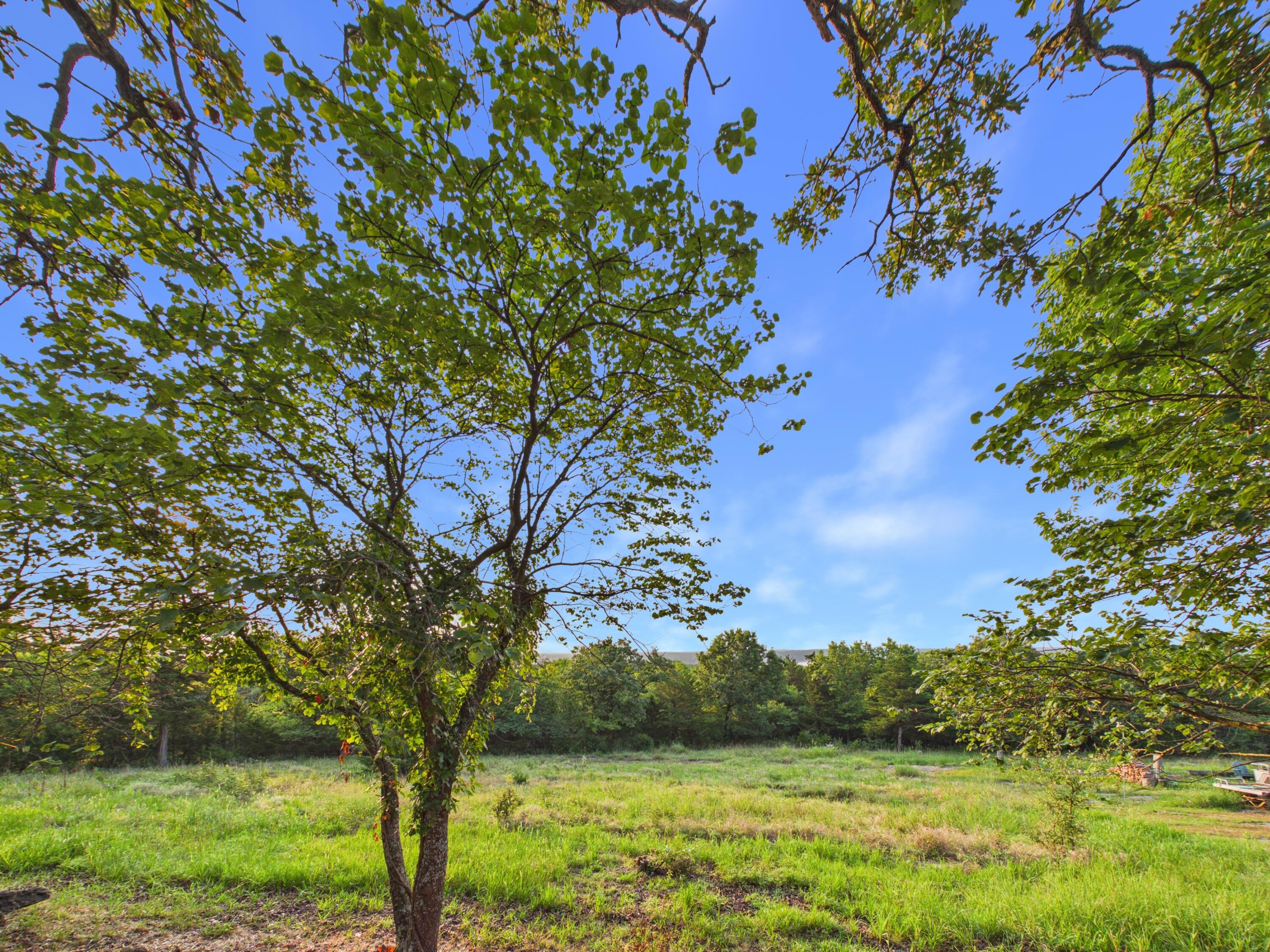 Photo 30 - Residential for sale – 22565  County Road 203   Wheatland, MO