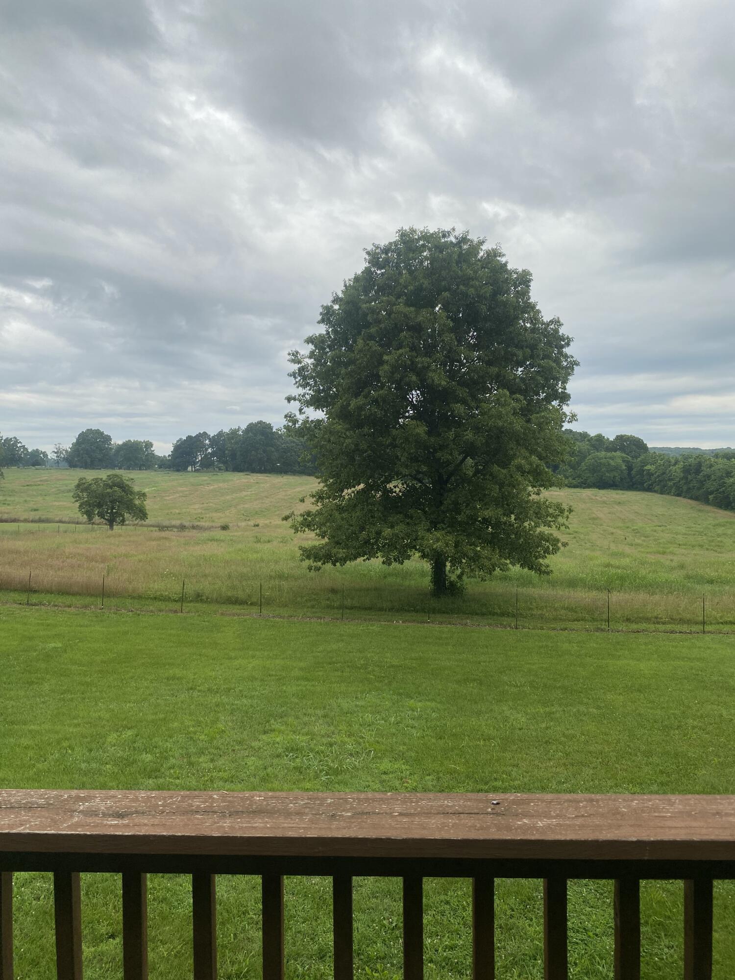 Photo 9 - Residential for sale – 7071 E Farm Road 194   Rogersville, MO
