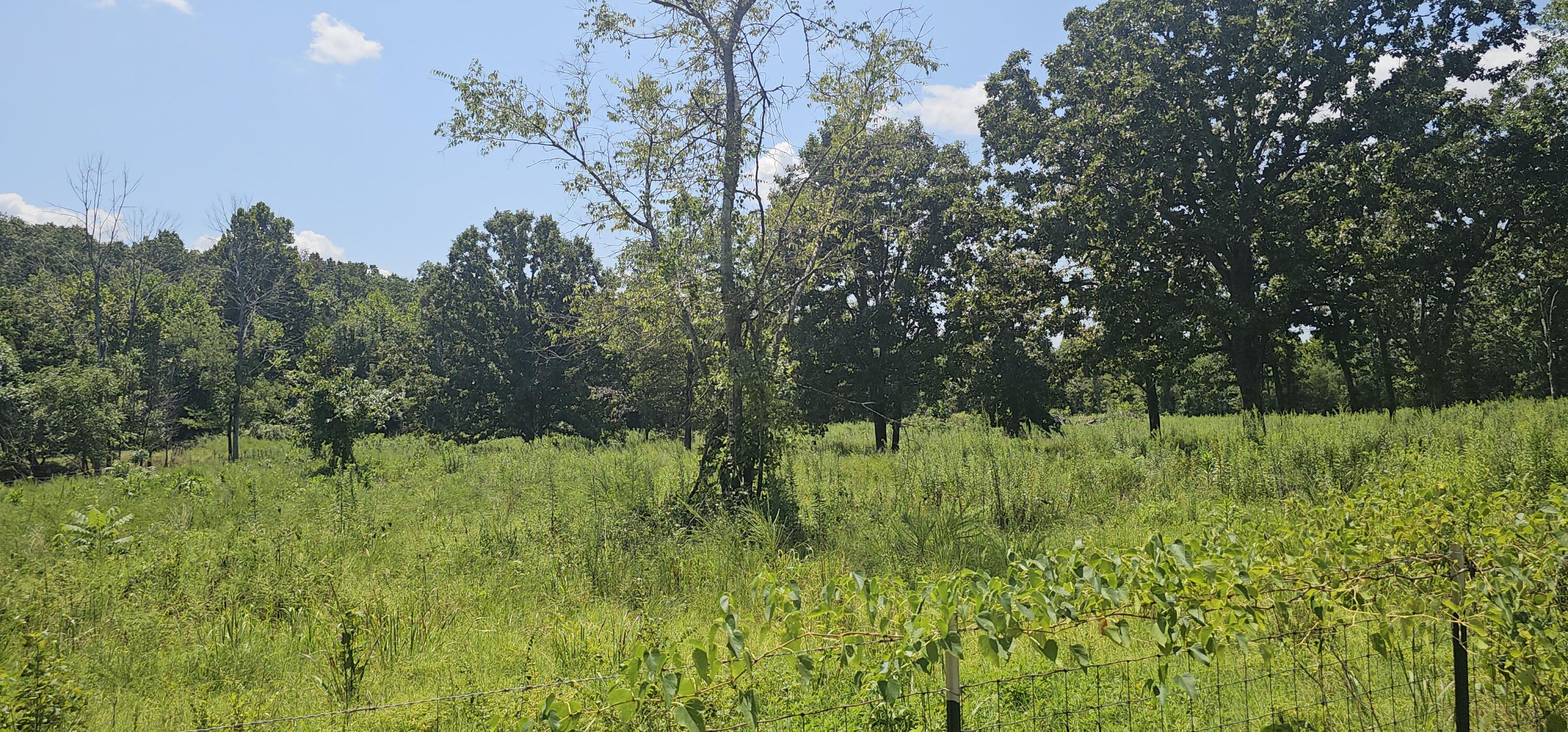 Photo 4 - Residential for sale – 2830  County Road 7780   Moody, MO