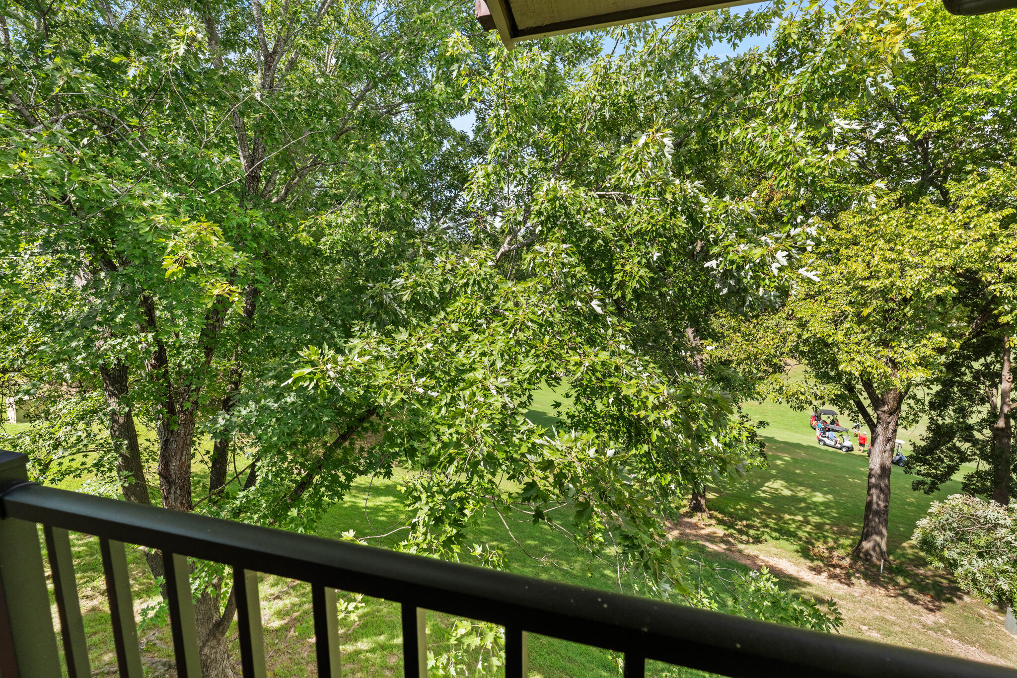 Photo 20 - Residential for sale – 187  Clubhouse Drive  Branson, MO