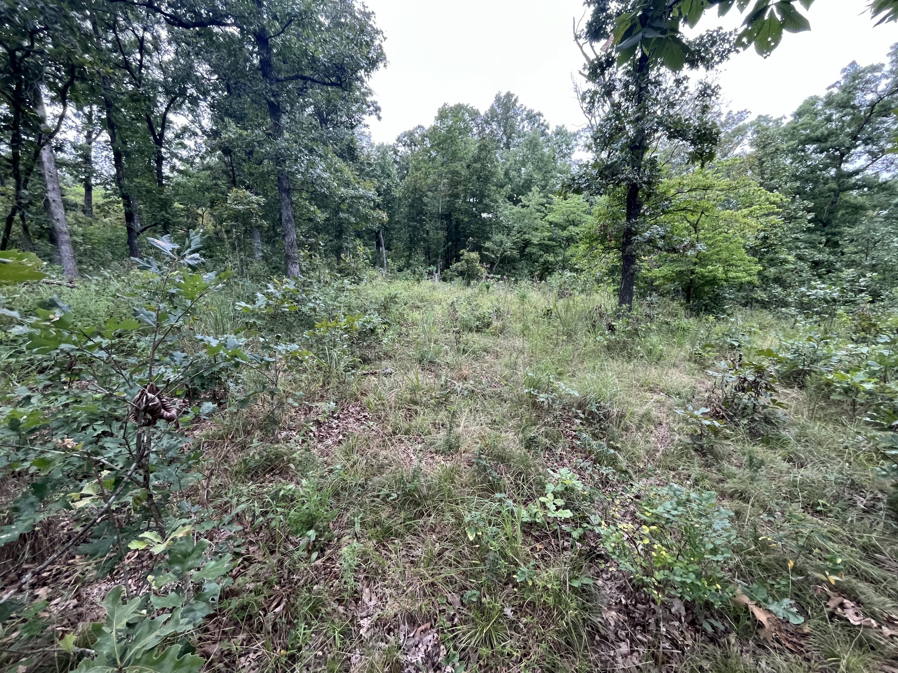 Photo 13 - Land for sale – 000  Partridge Drive  Climax Springs, MO