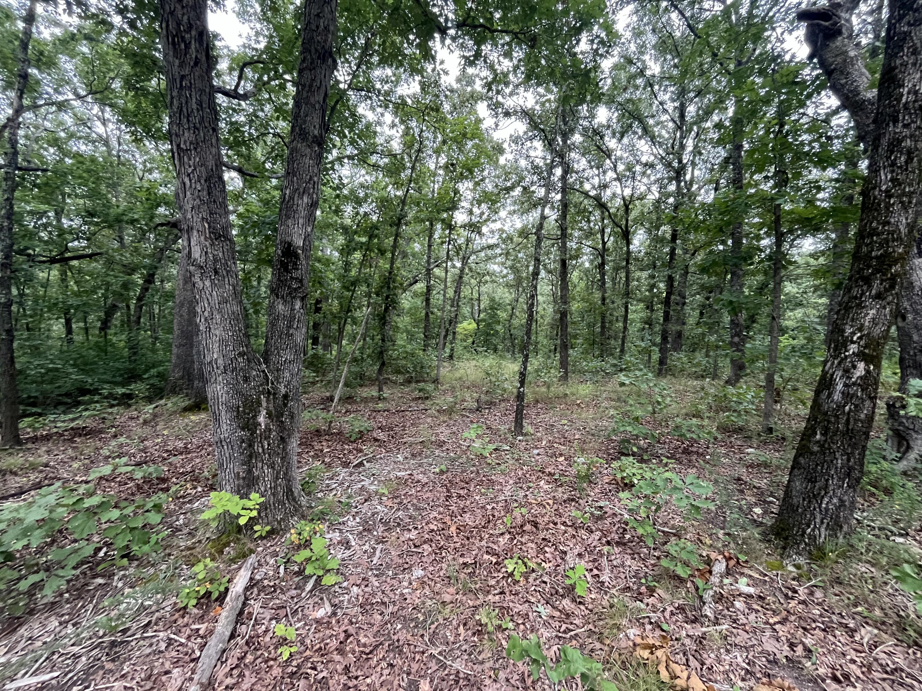 Photo 14 - Land for sale – 000  Partridge Drive  Climax Springs, MO