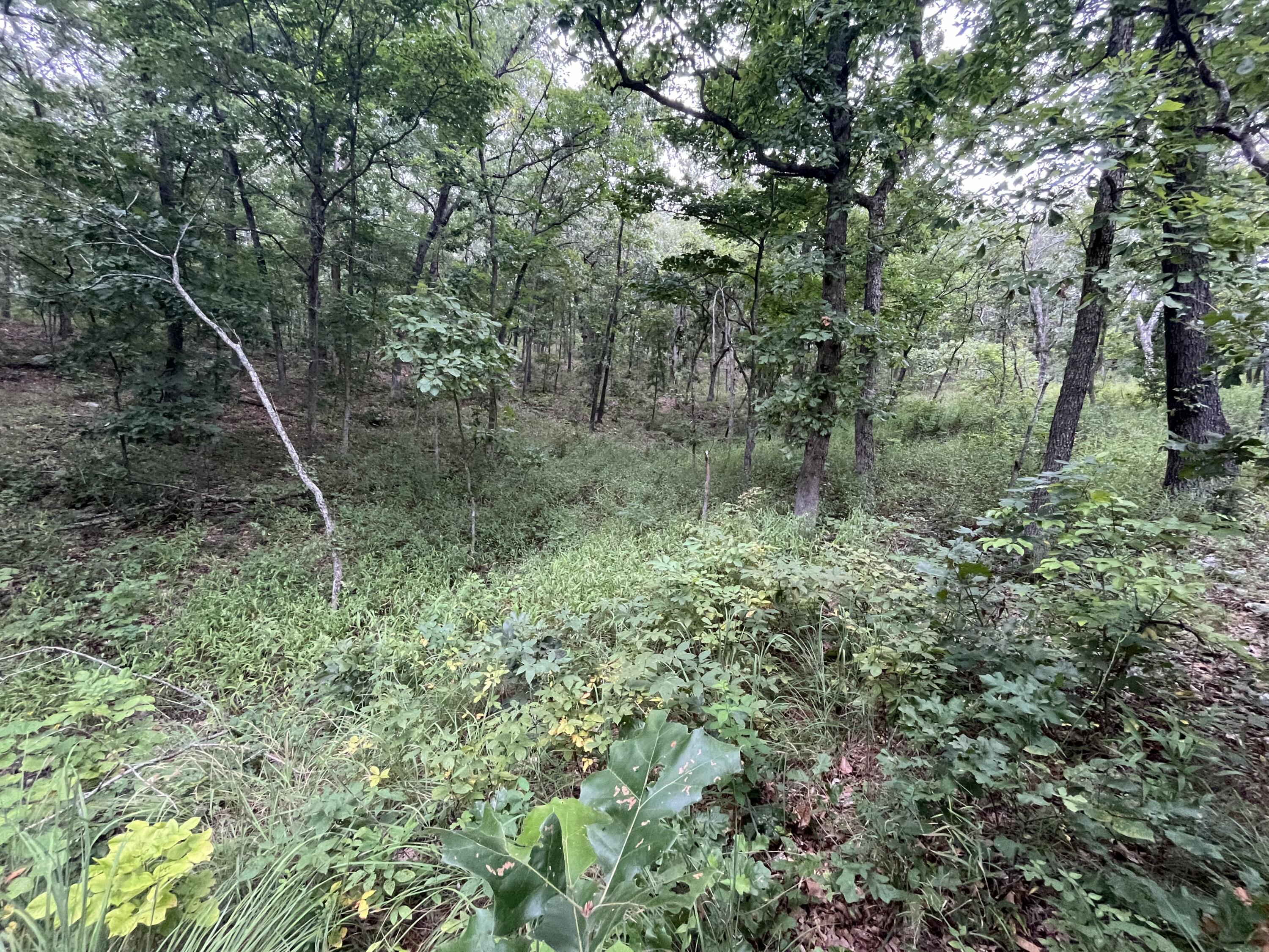 Photo 25 - Land for sale – 000  Partridge Drive  Climax Springs, MO
