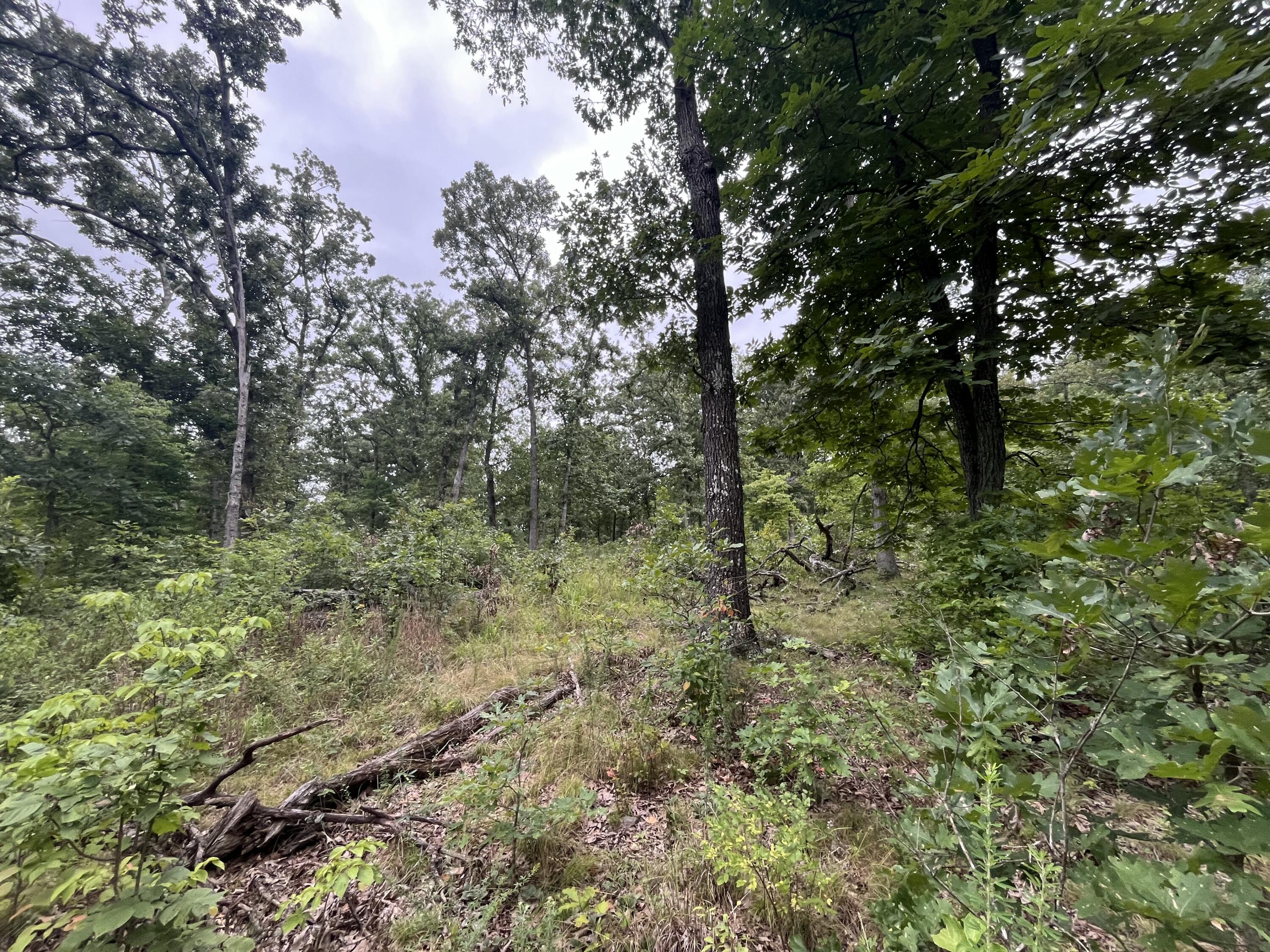 Photo 4 - Land for sale – 000  Partridge Drive  Climax Springs, MO