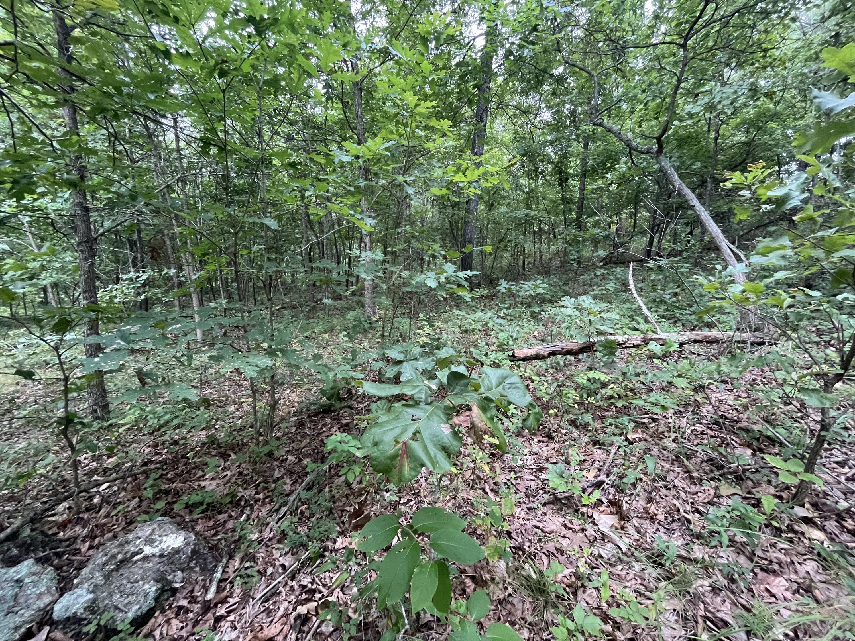 Photo 9 - Land for sale – 000  Partridge Drive  Climax Springs, MO