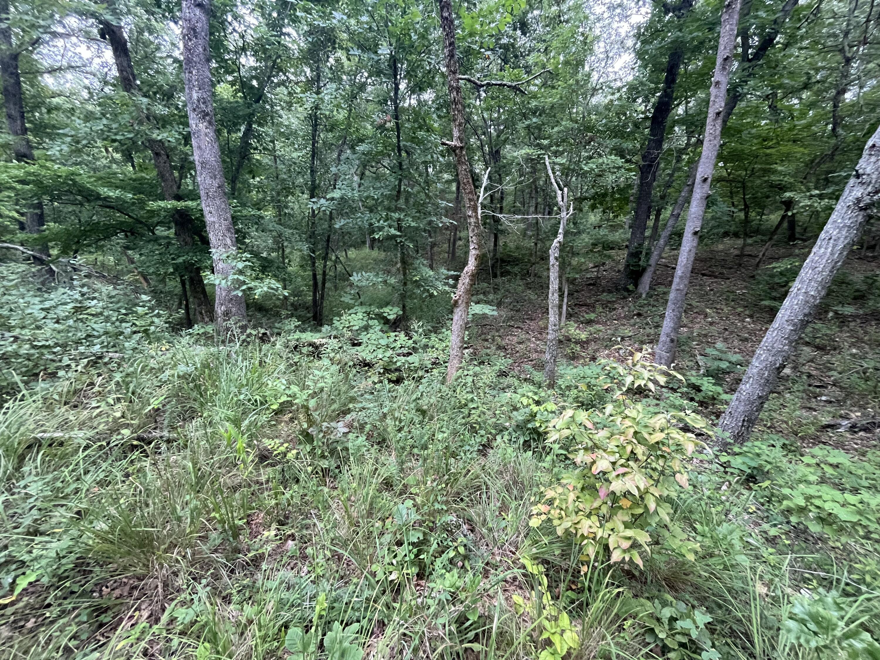 Photo 26 - Land for sale – 000  Partridge Drive  Climax Springs, MO