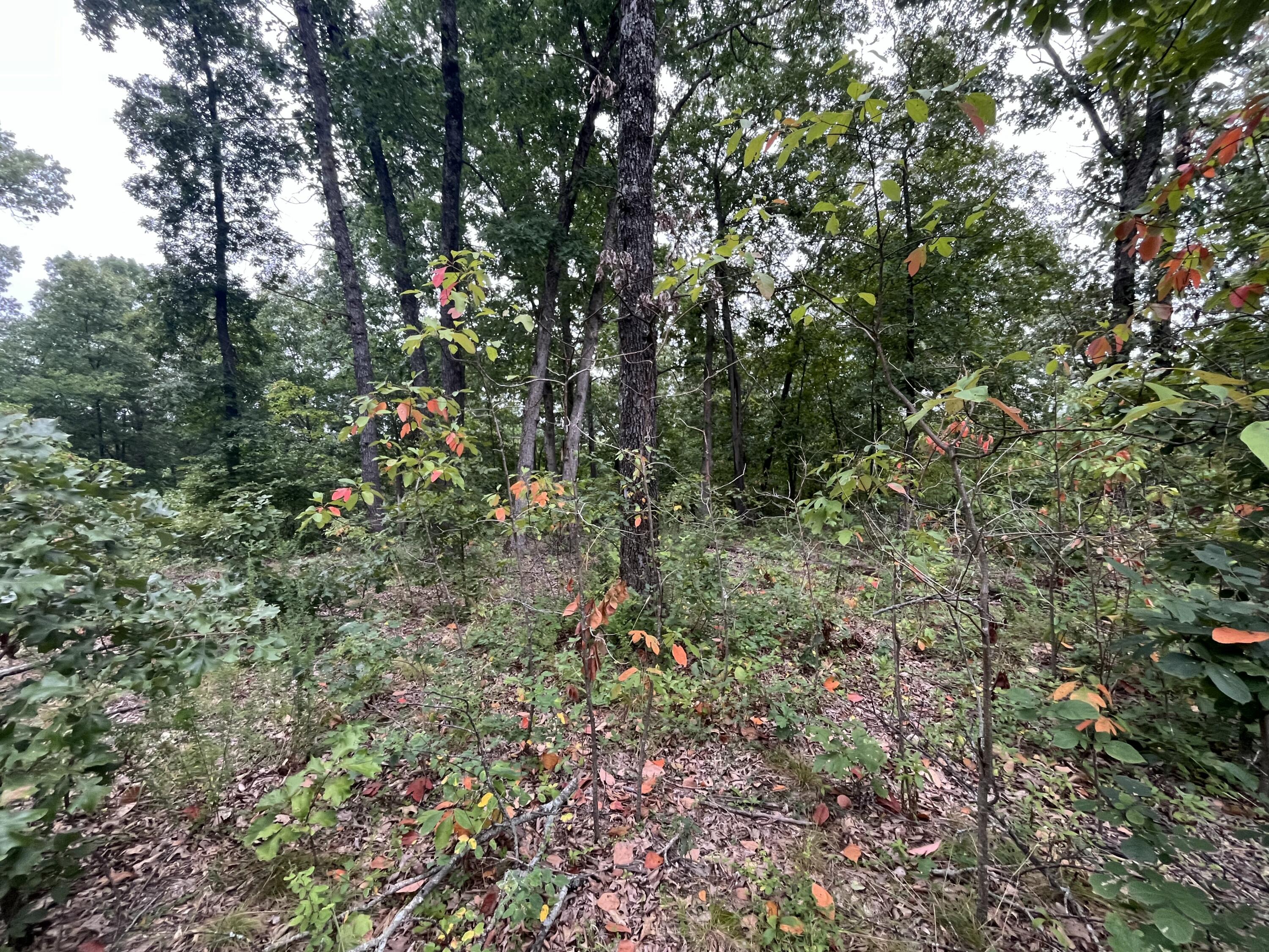 Land for sale – 000  Partridge Drive  Climax Springs, MO
