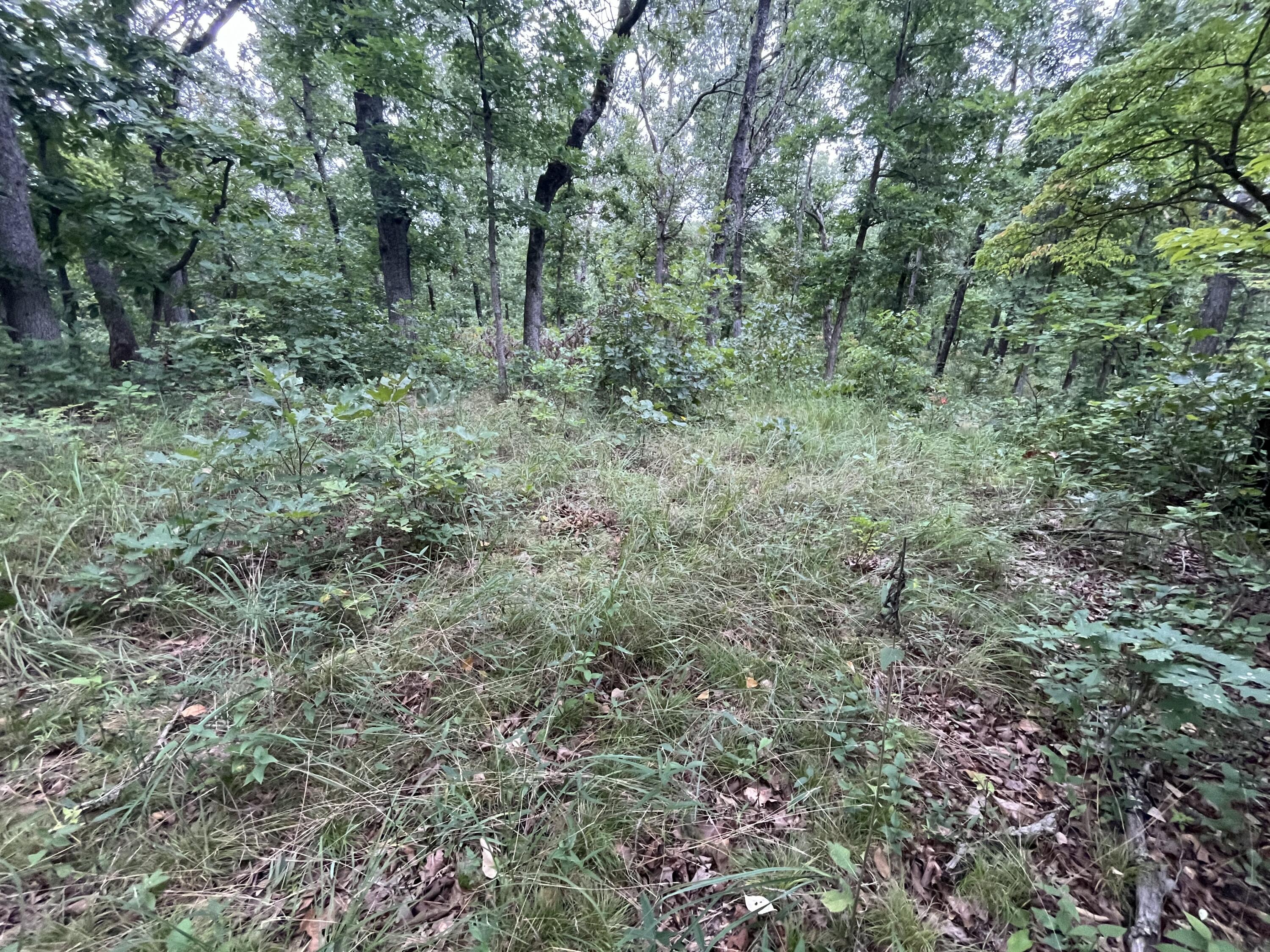Photo 18 - Land for sale – 000  Partridge Drive  Climax Springs, MO