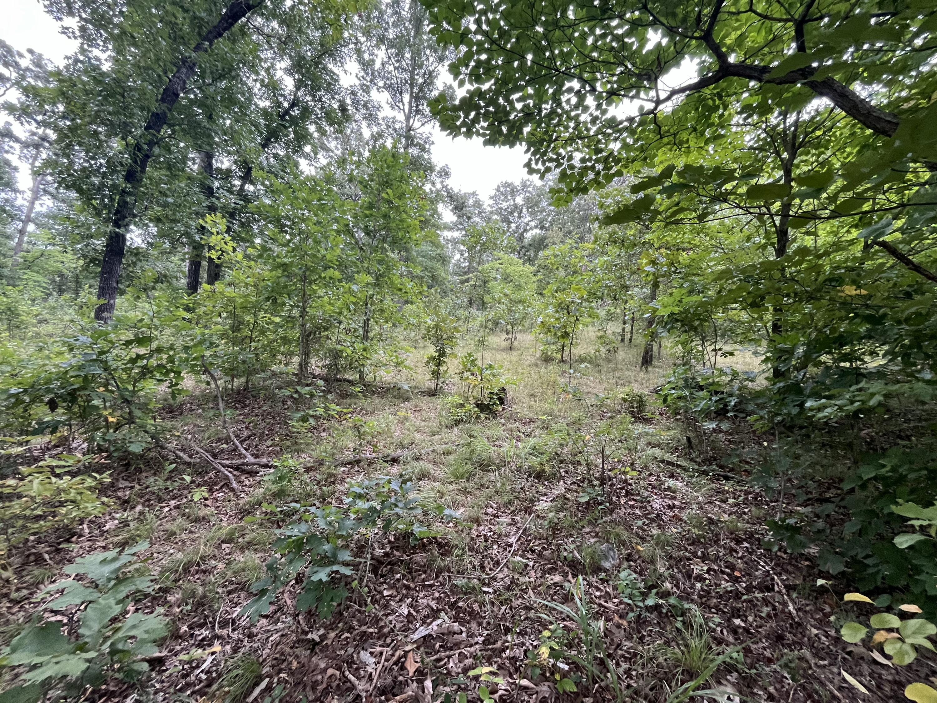 Photo 31 - Land for sale – 000  Partridge Drive  Climax Springs, MO