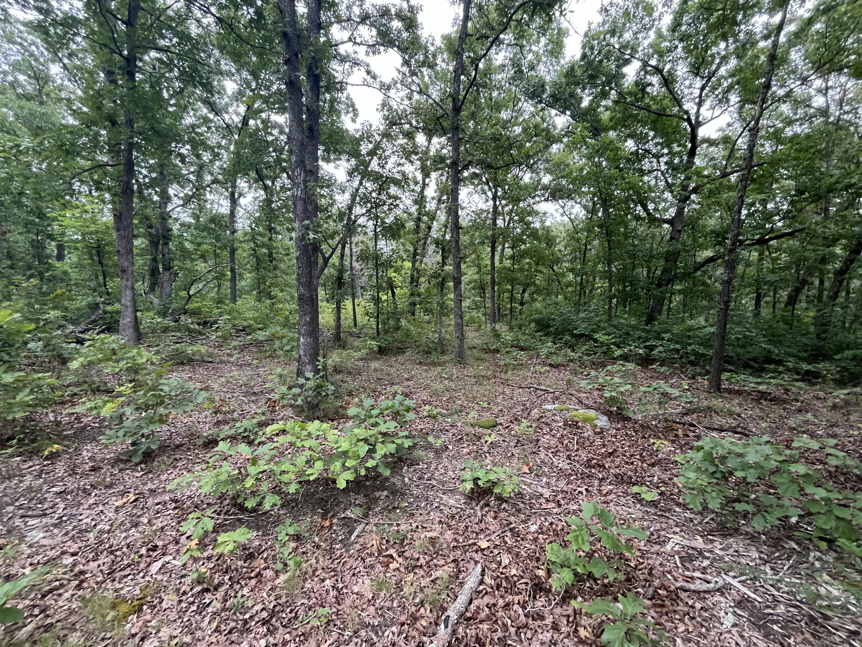 Photo 15 - Land for sale – 000  Partridge Drive  Climax Springs, MO