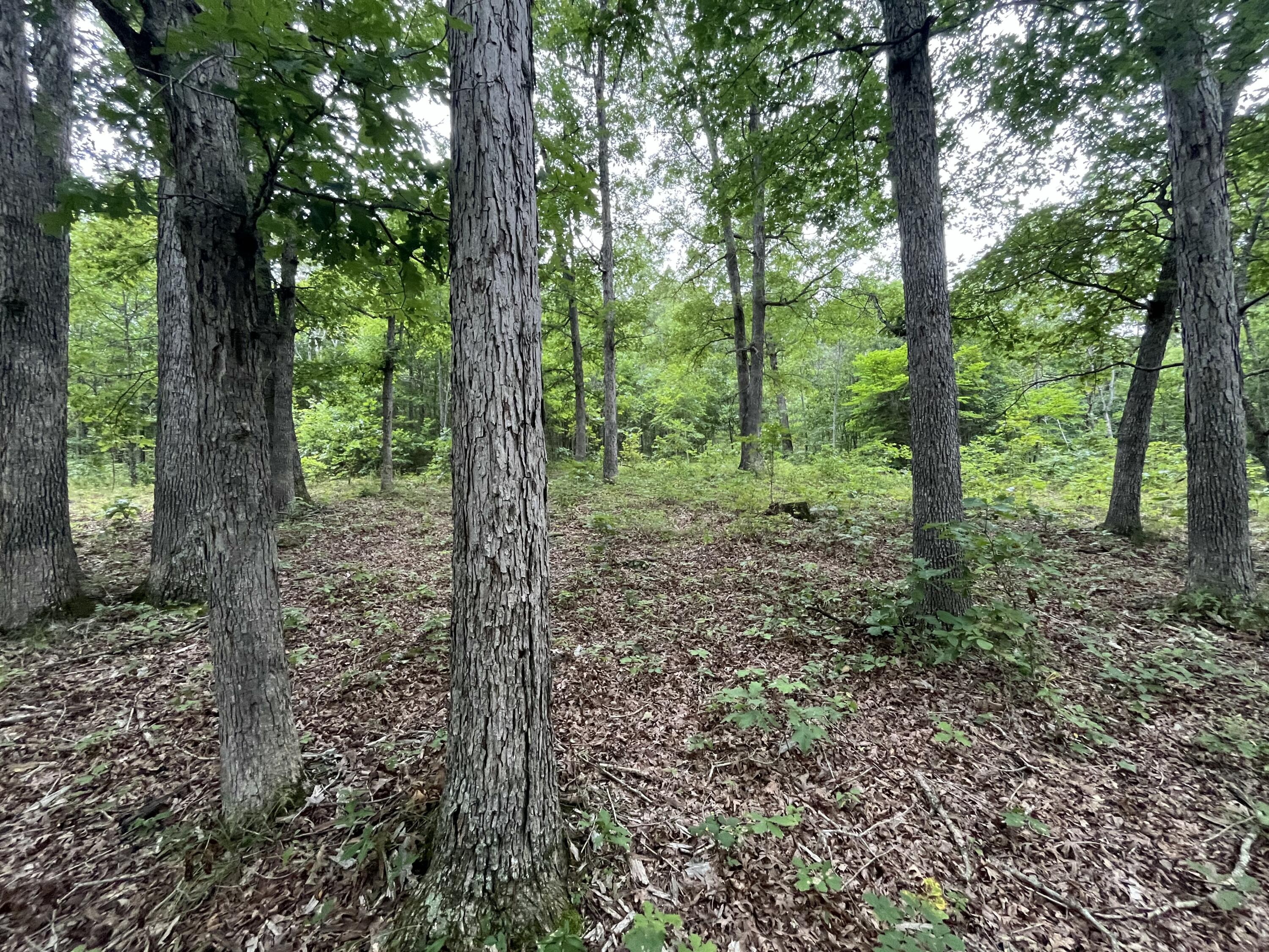 Photo 2 - Land for sale – 000  Partridge Drive  Climax Springs, MO
