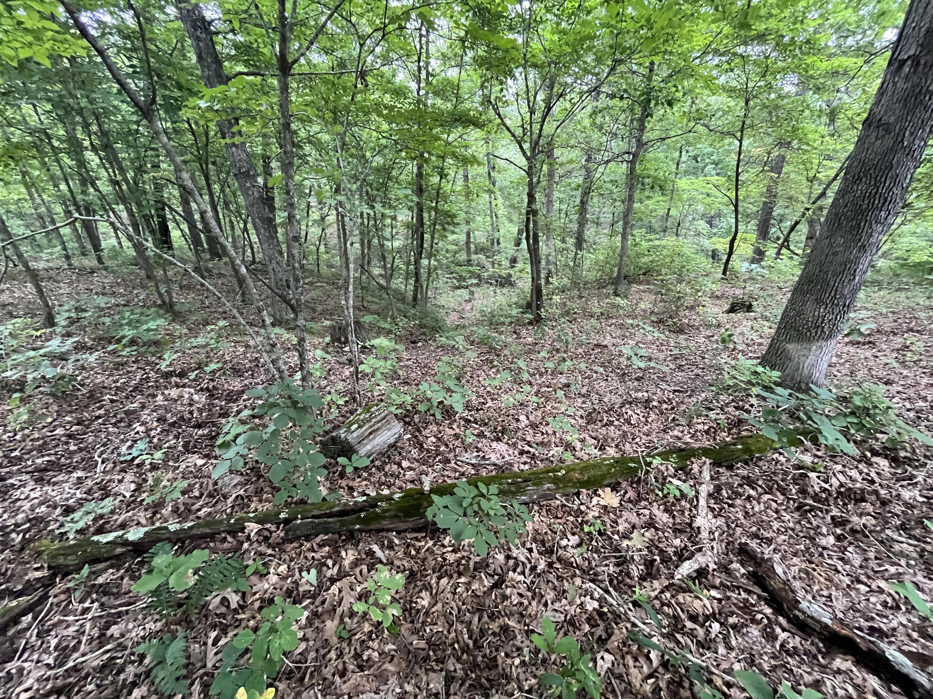 Photo 12 - Land for sale – 000  Partridge Drive  Climax Springs, MO