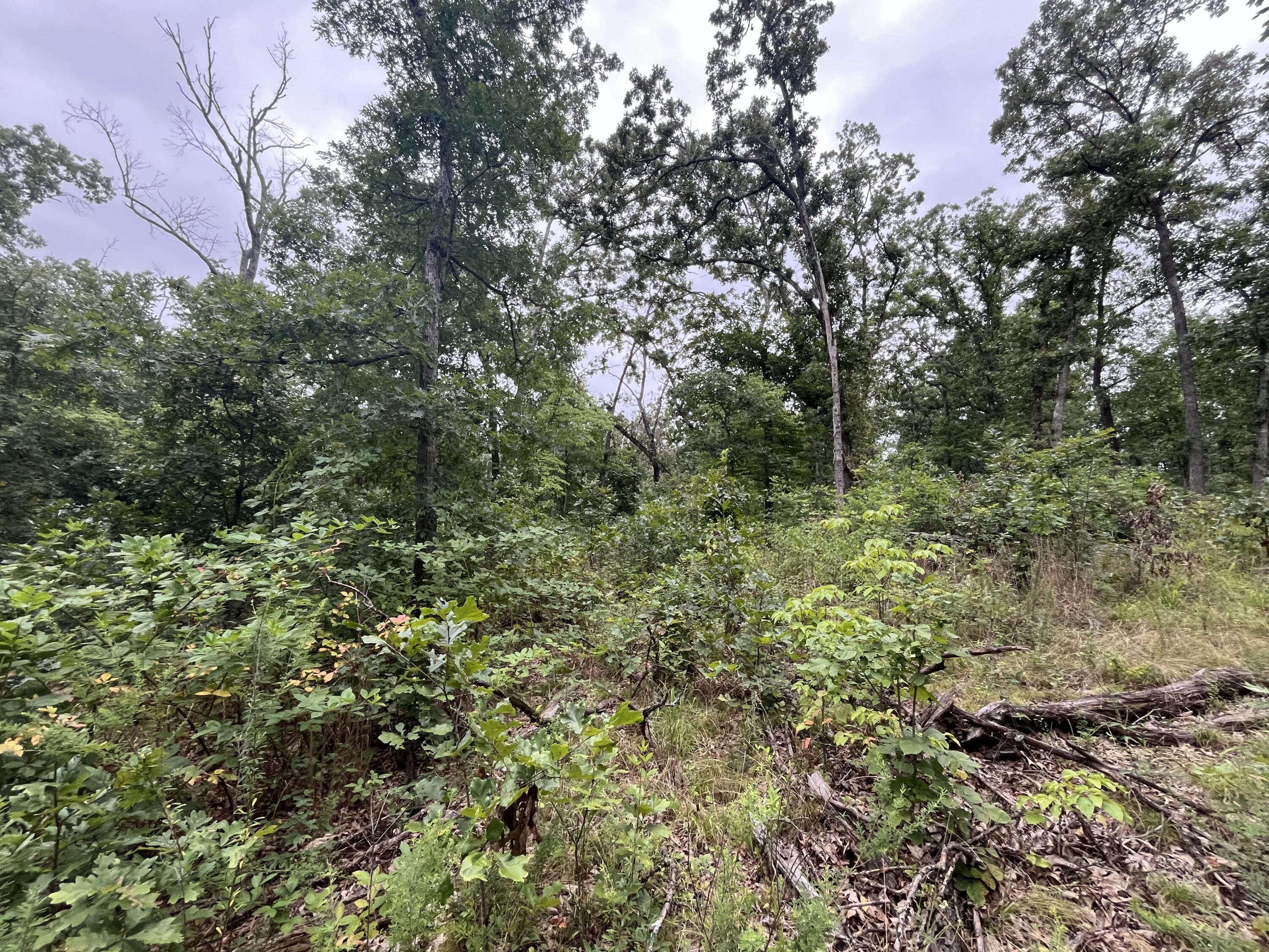 Photo 3 - Land for sale – 000  Partridge Drive  Climax Springs, MO