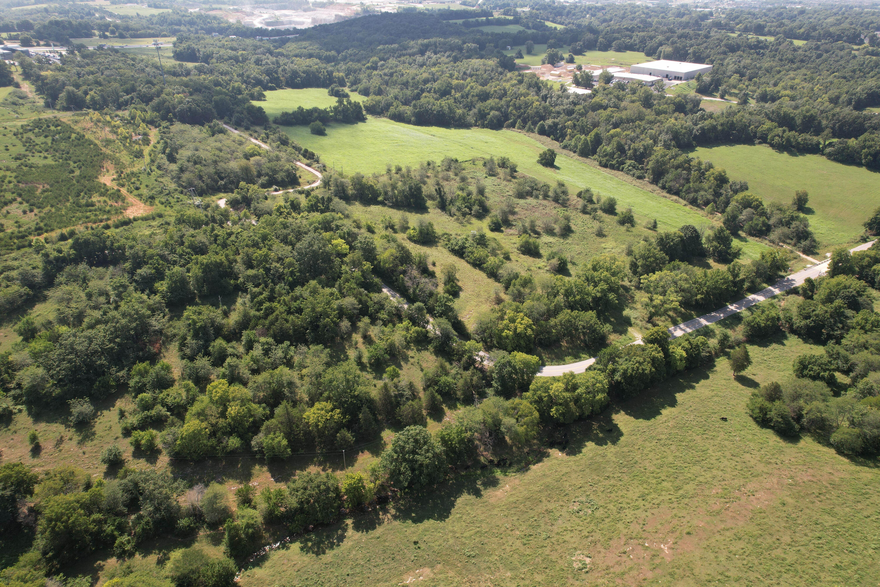 Photo 9 - Land for sale – 6546 S Farm Road 175   Ozark, MO