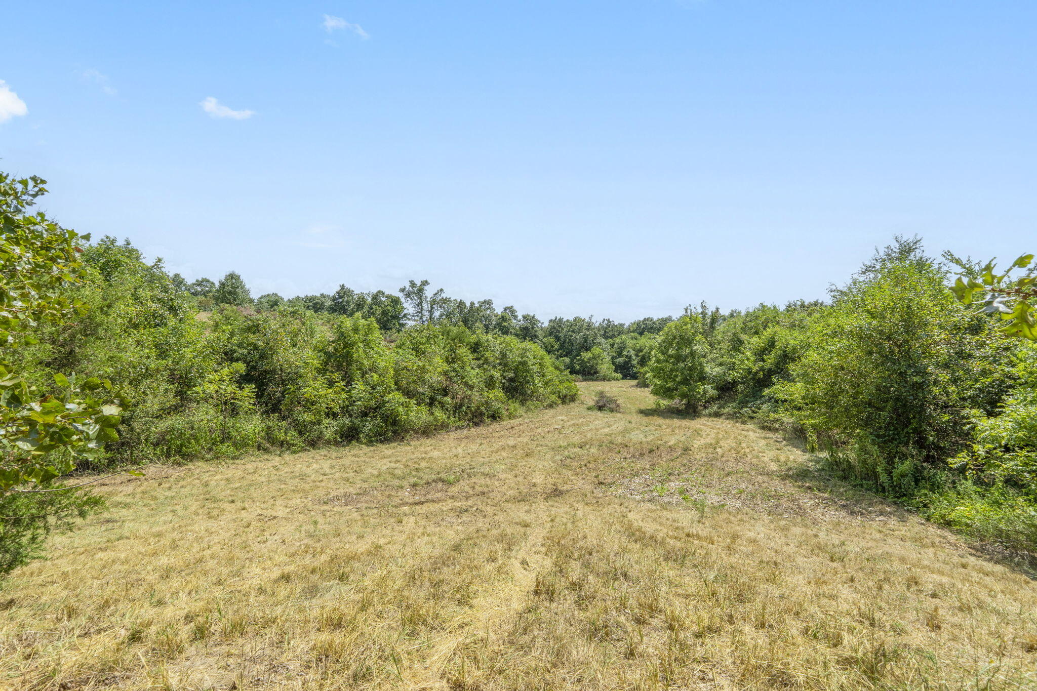 Photo 3 - Land for sale – Tbd  Swinson Drive  Galena, MO
