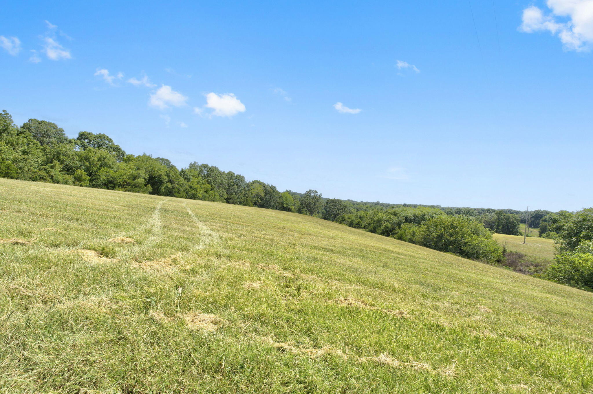 Photo 16 - Land for sale – Tbd  Swinson Drive  Galena, MO
