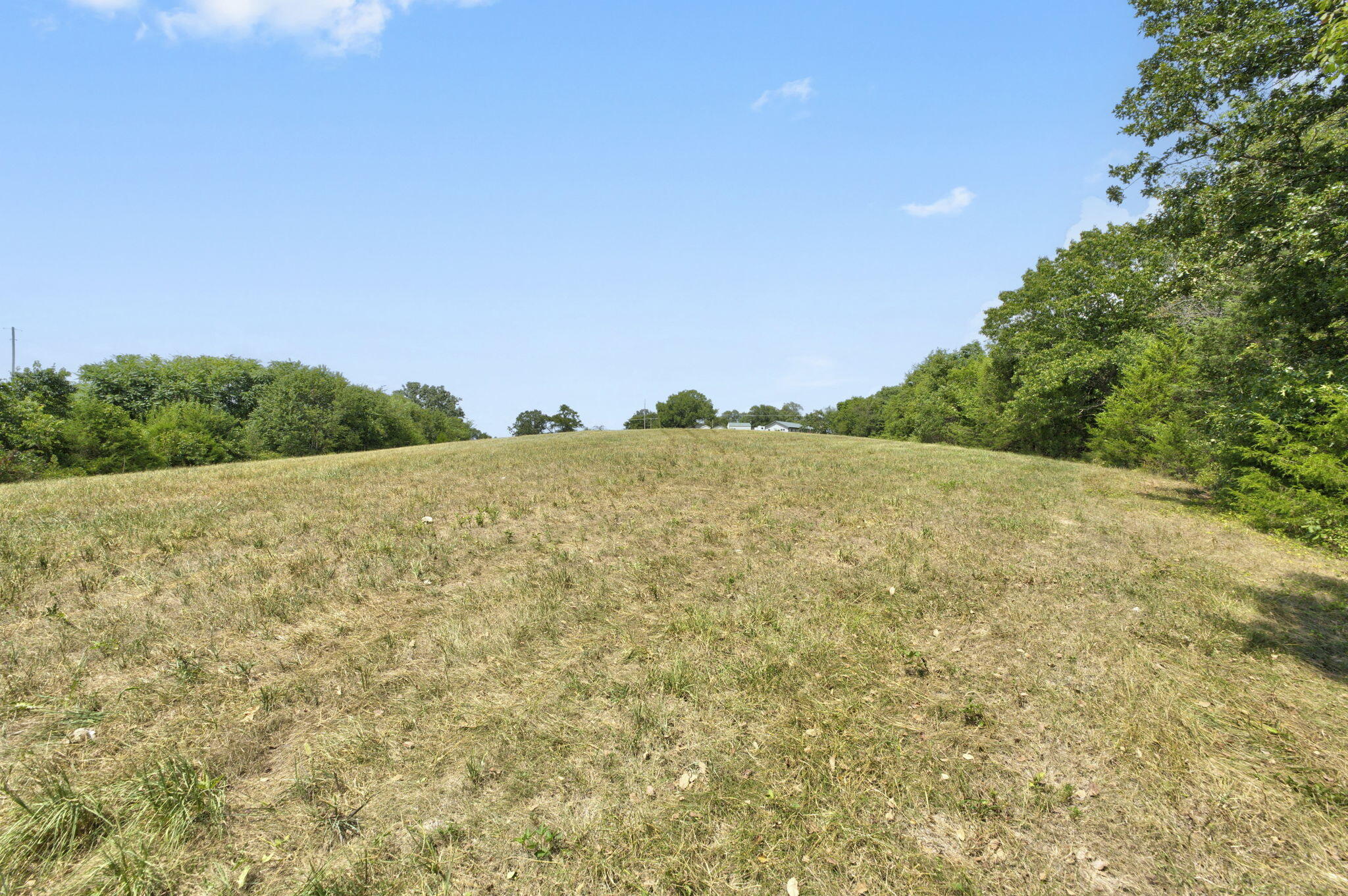 Photo 15 - Land for sale – Tbd  Swinson Drive  Galena, MO
